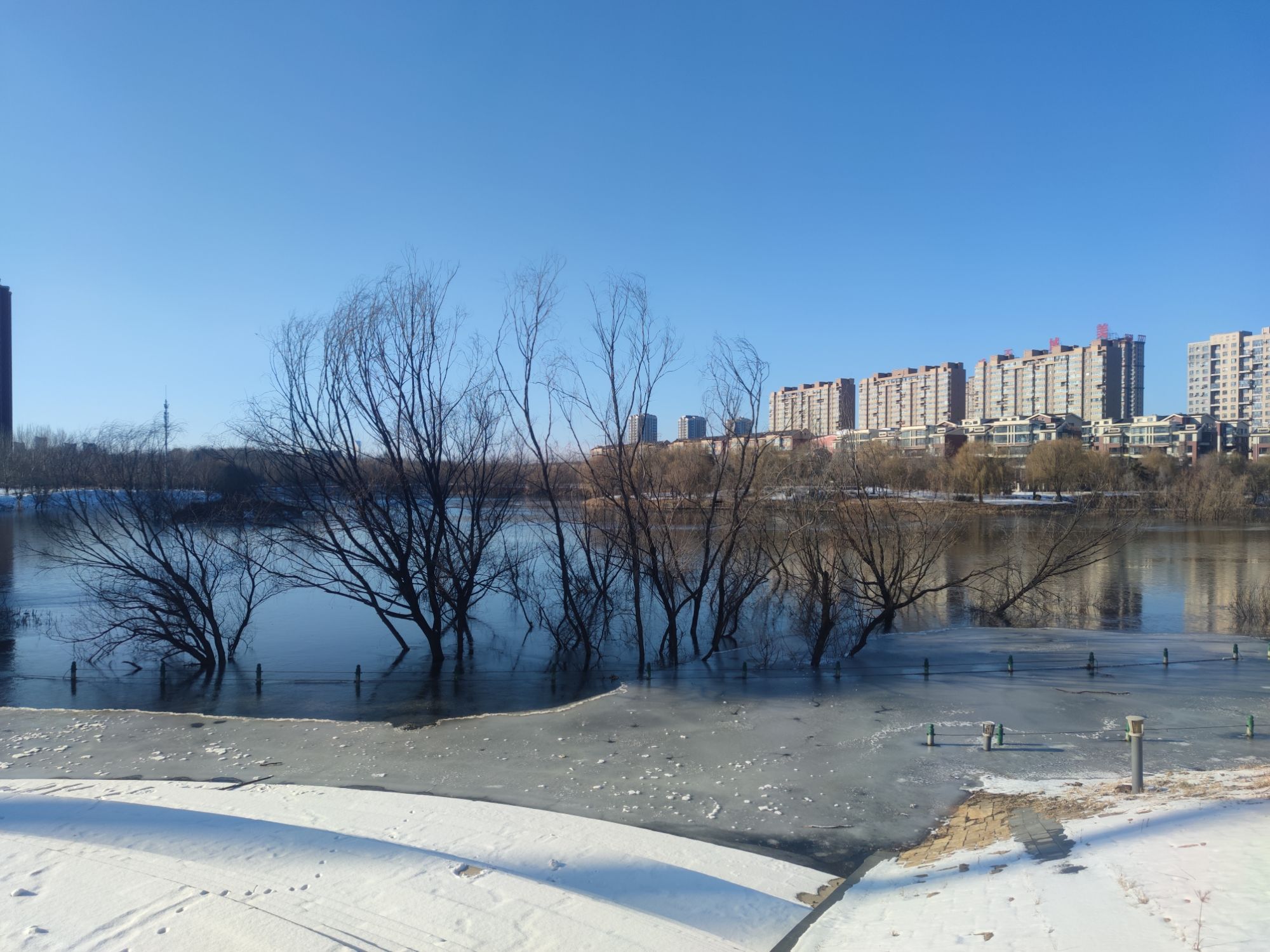 熙湖公园旅行图片 1