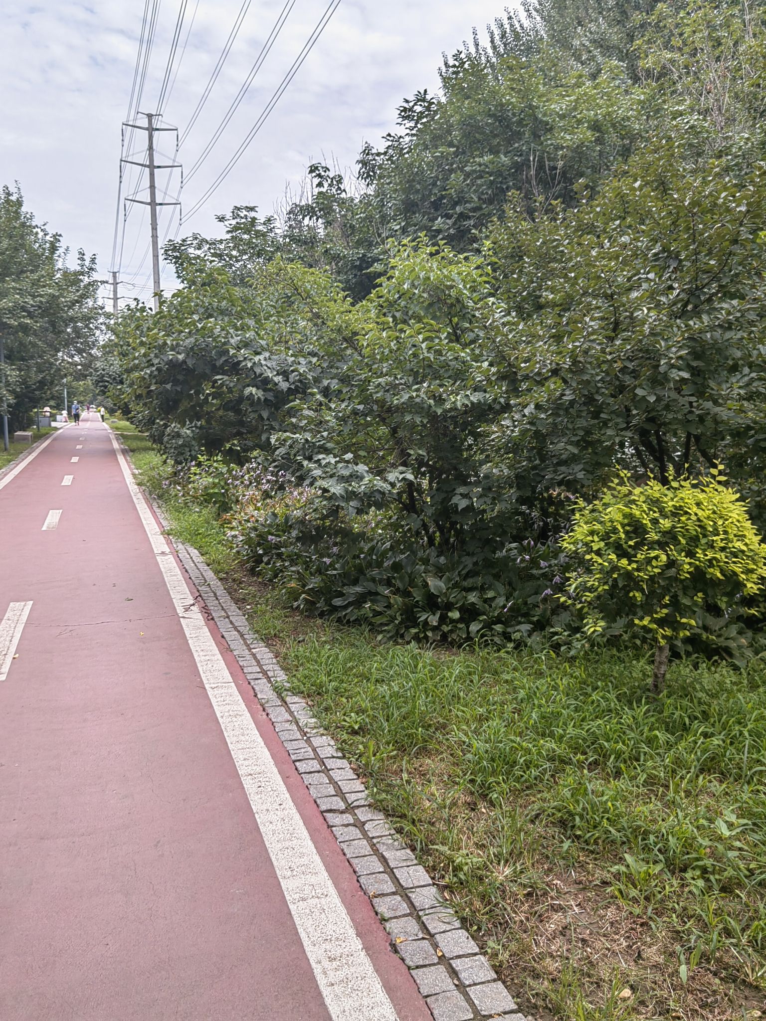 熙湖公园旅行图片 1