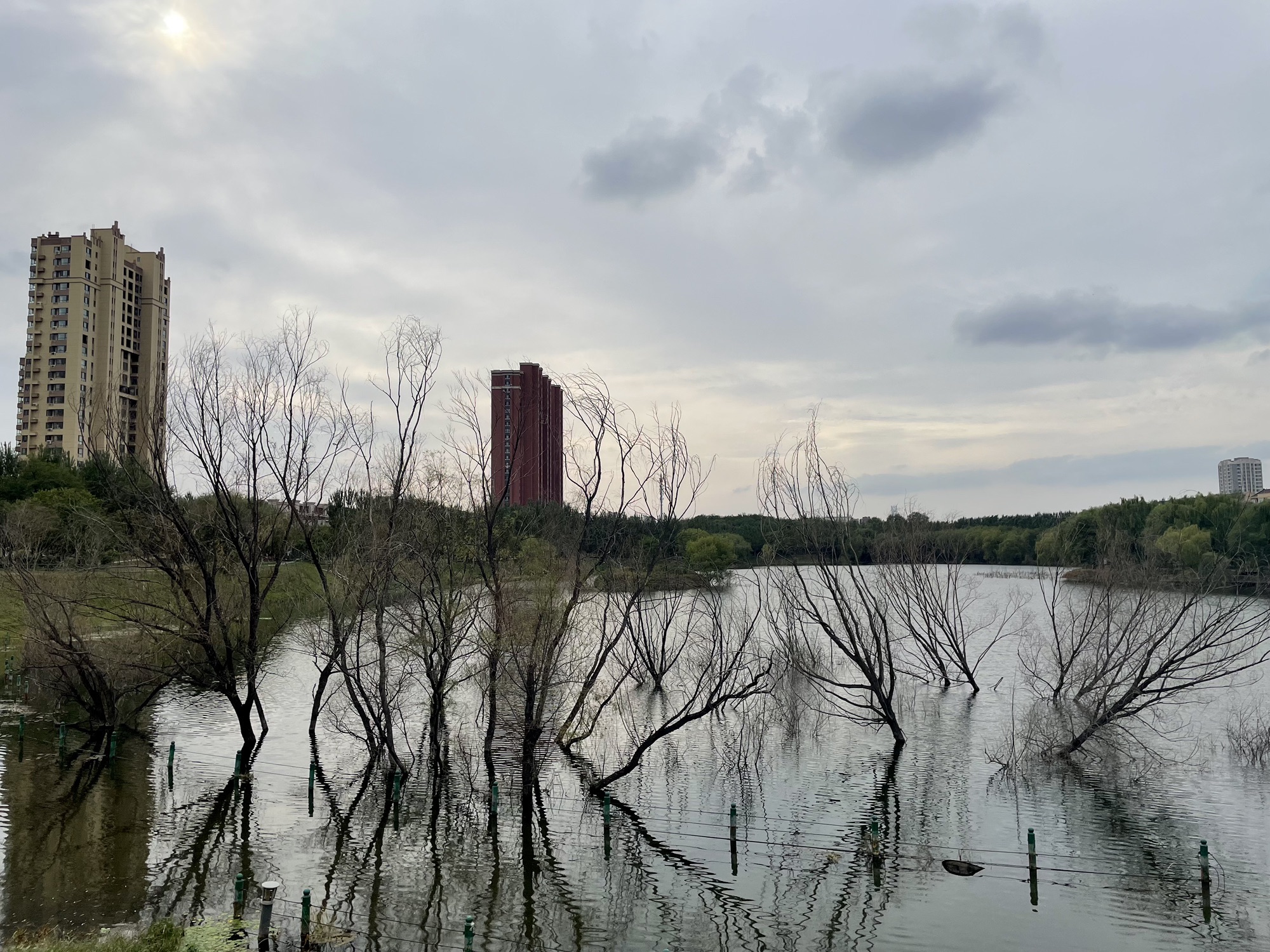 熙湖公园旅行图片 2