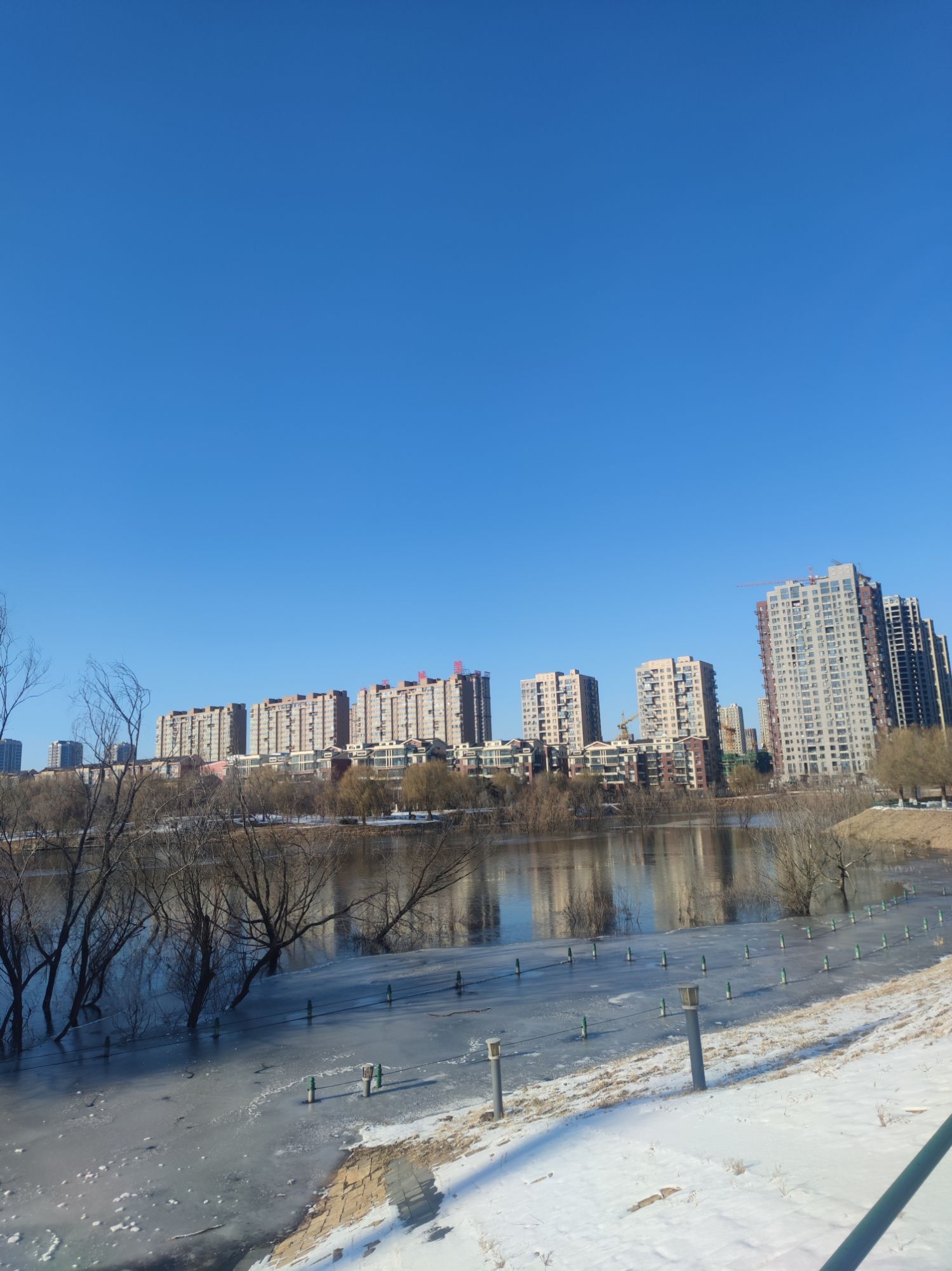 熙湖公园旅行图片 2