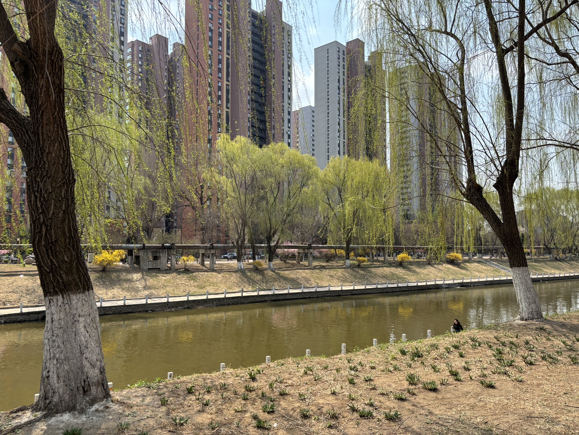 黎明公园旅行图片 2