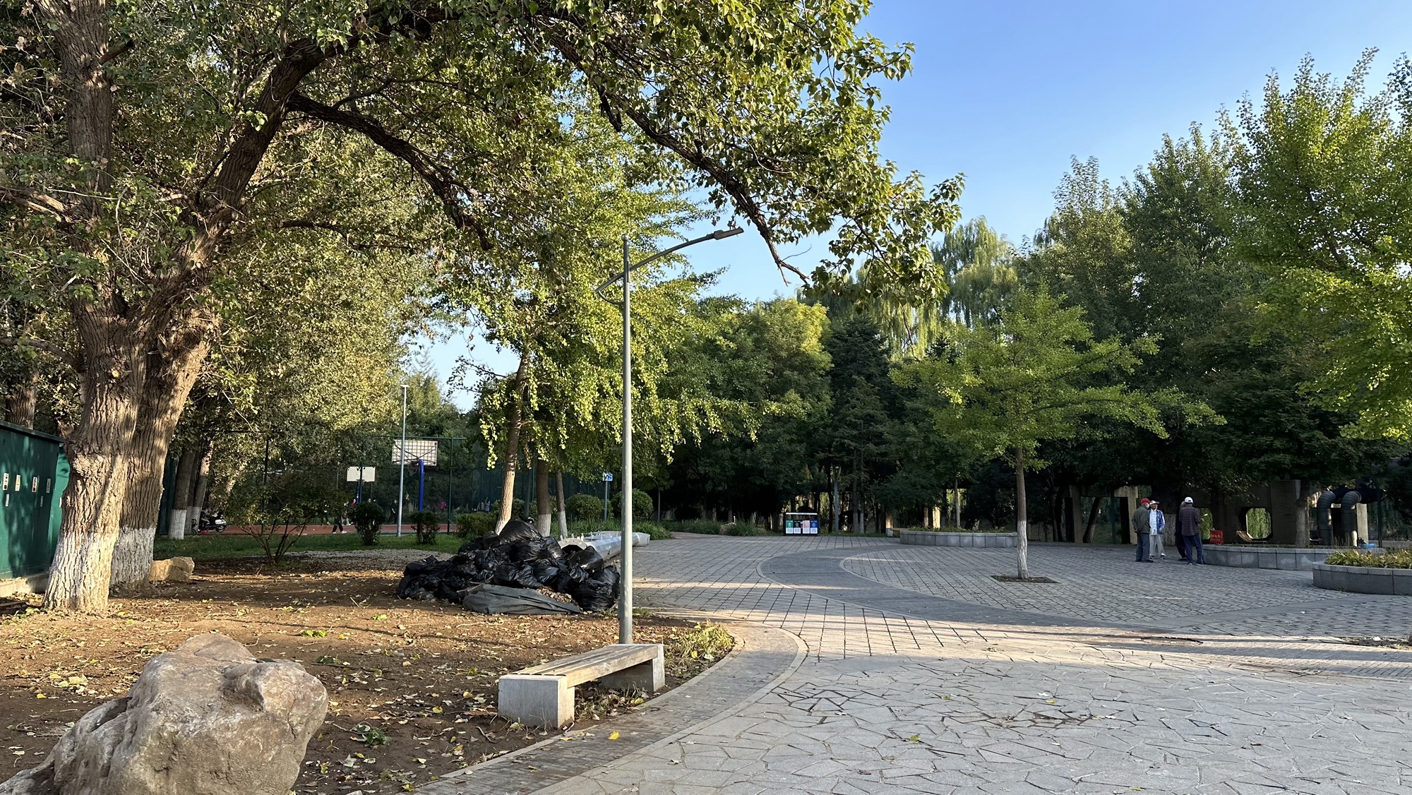 黎明公园旅行图片 2