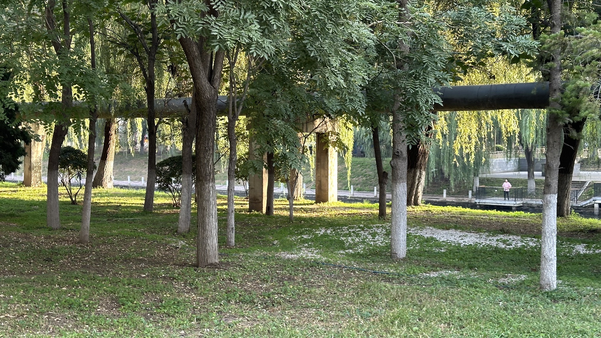 黎明公园旅行图片 1
