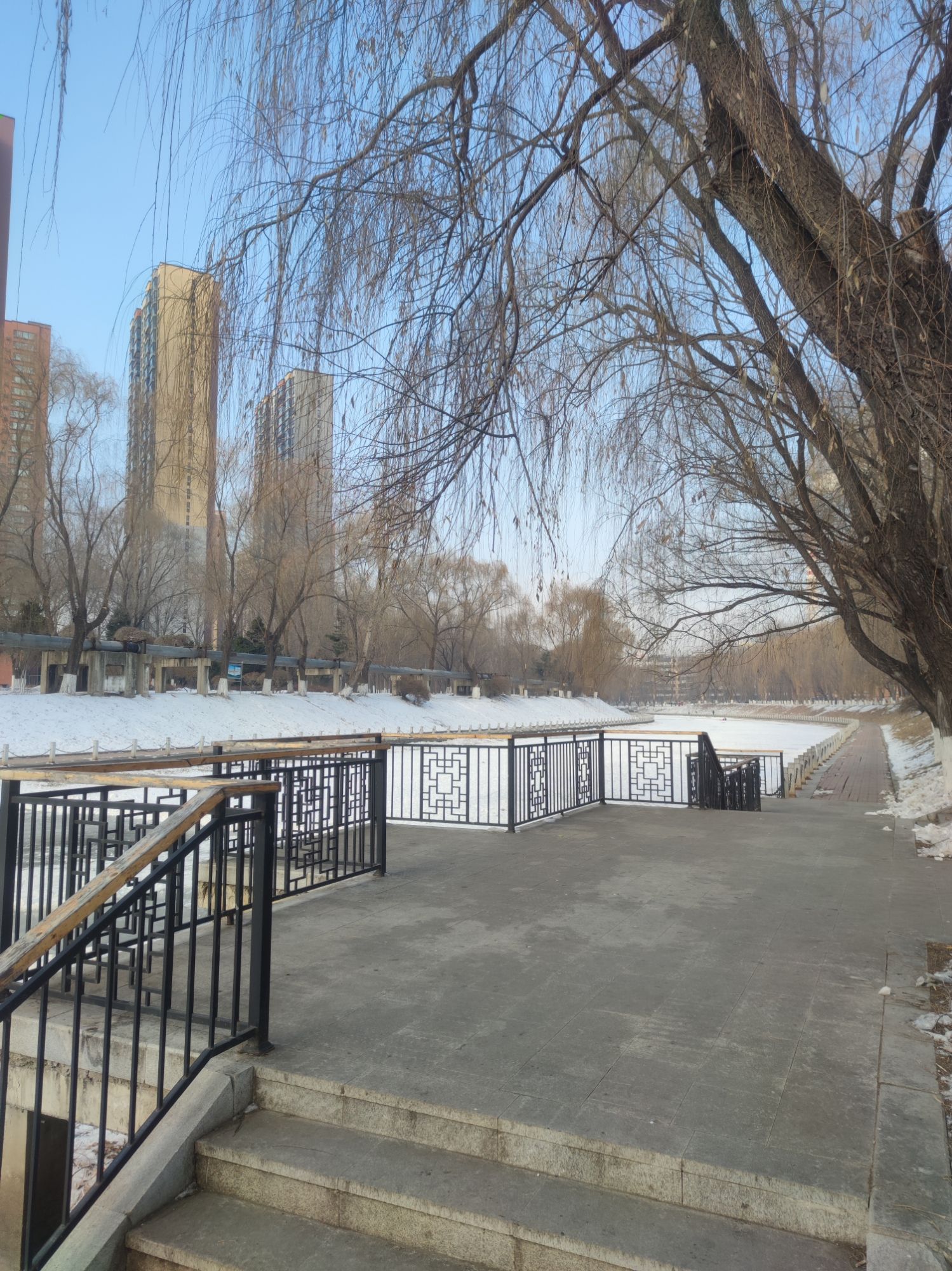 黎明公园旅行图片 3