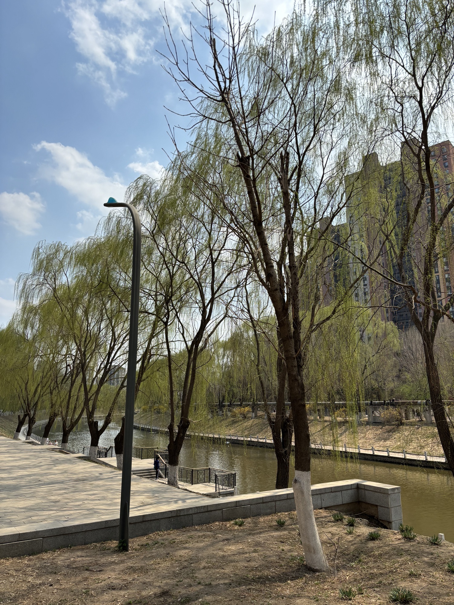 黎明公园旅行图片 3