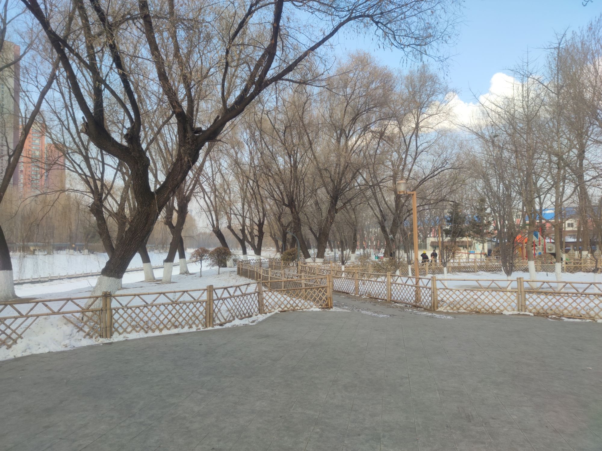 黎明公园旅行图片 2