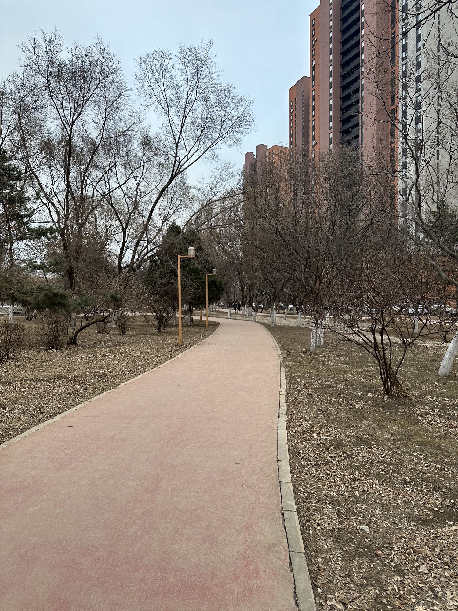 黎明公园旅行图片 1