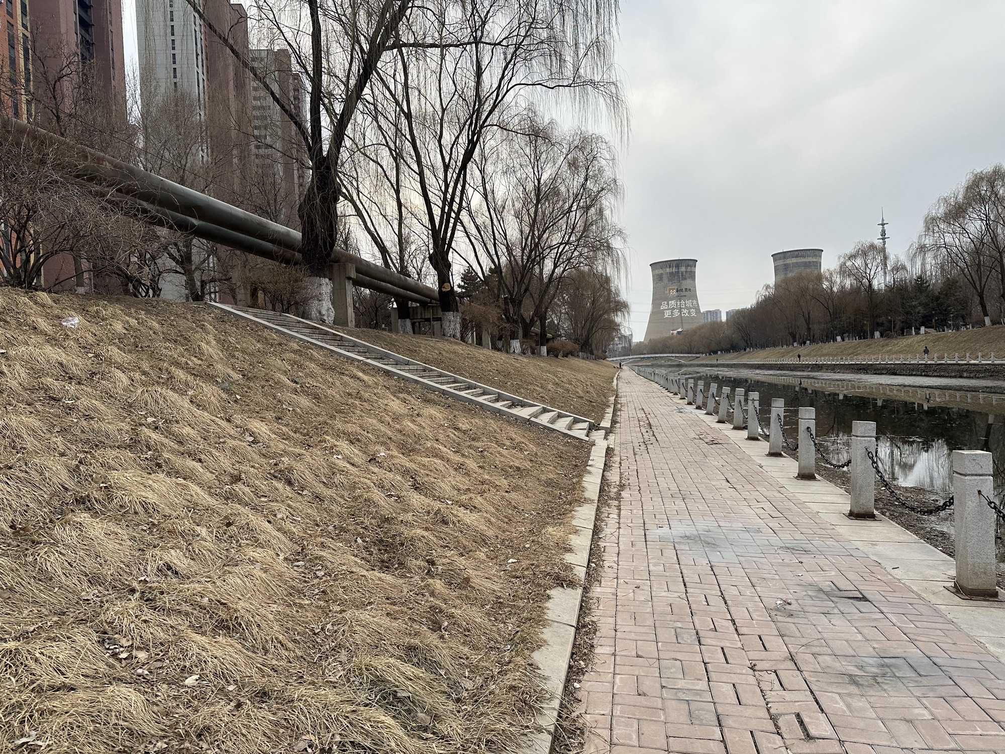 黎明公园旅行图片 3