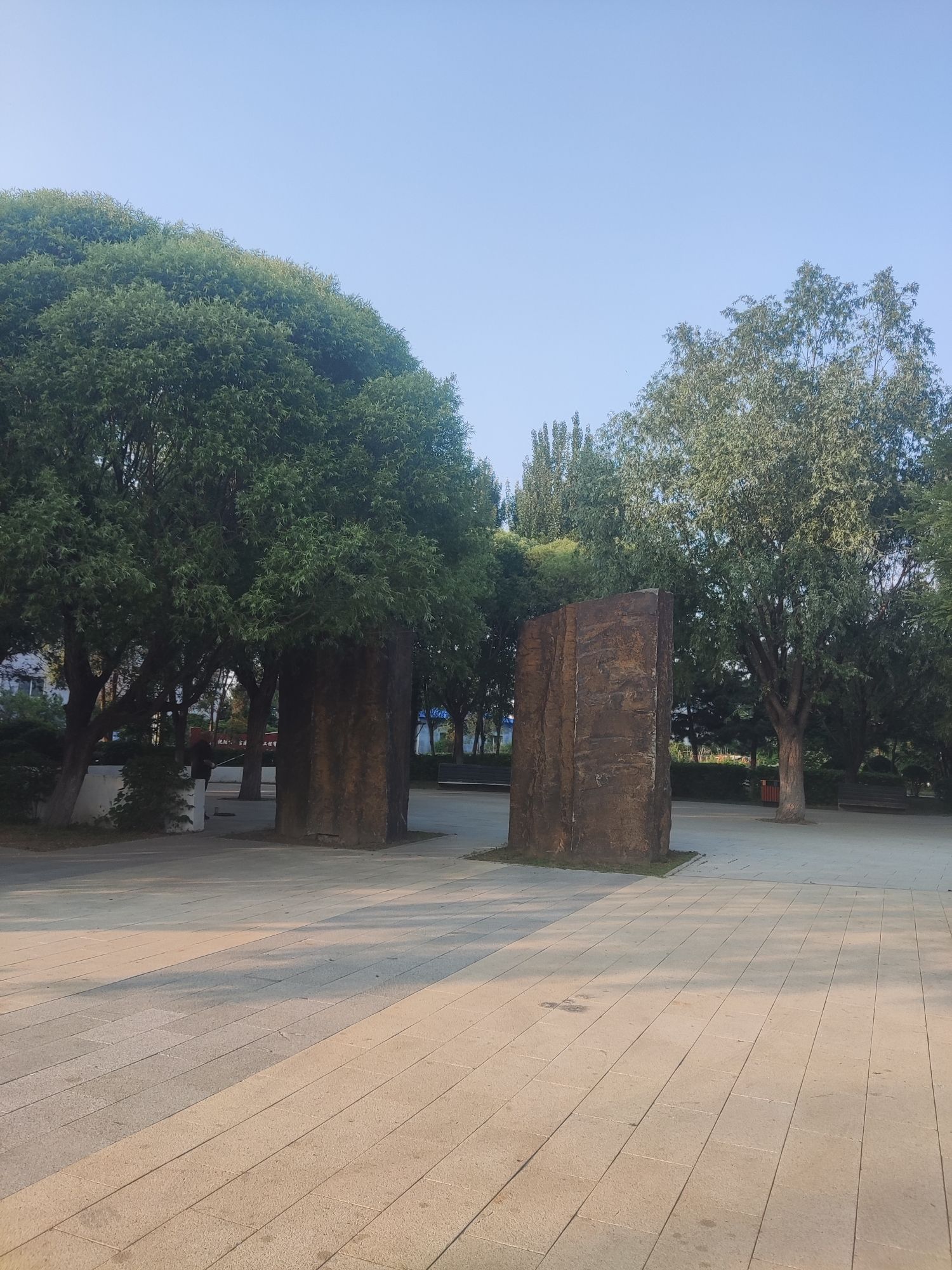 慧园旅行图片 2