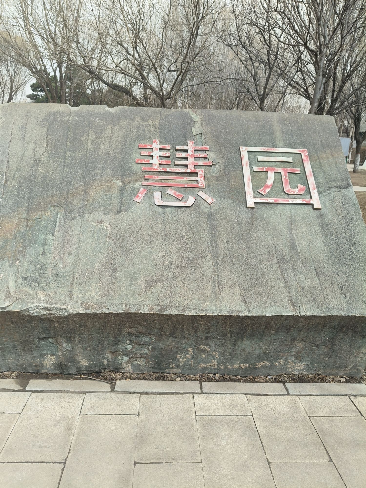 慧园旅行图片 3