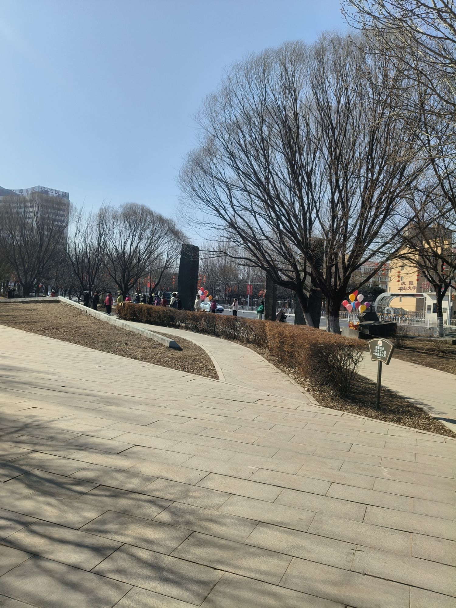 慧园旅行图片 2