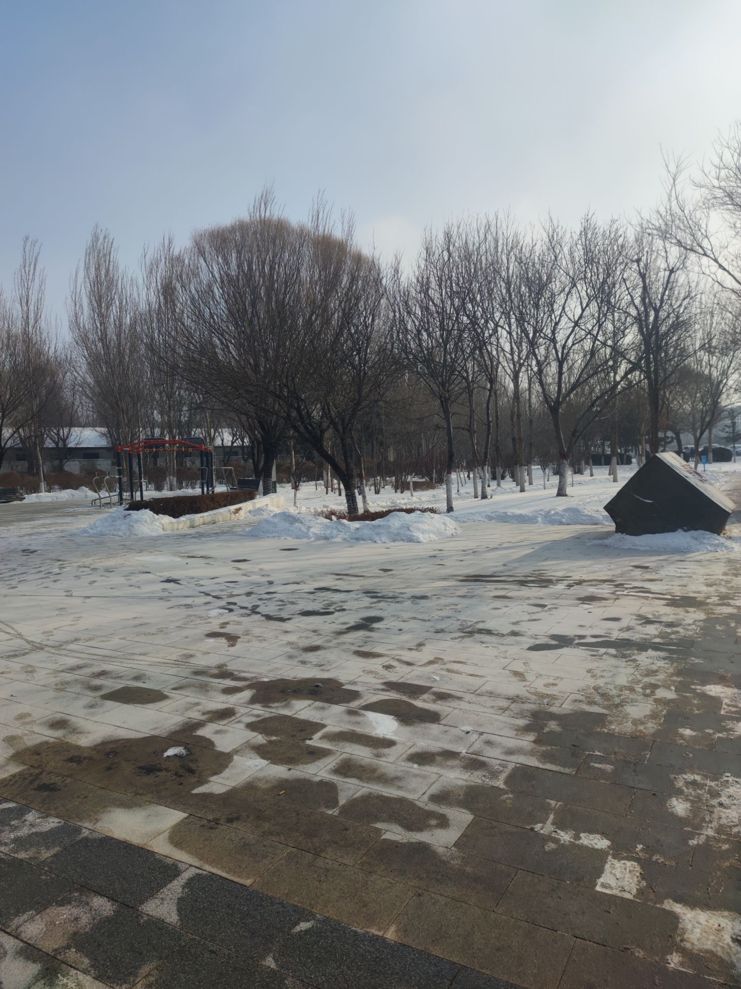 慧园旅行图片 2