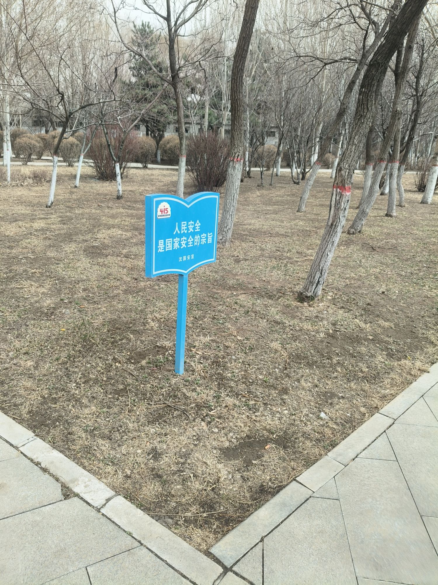 慧园旅行图片 1