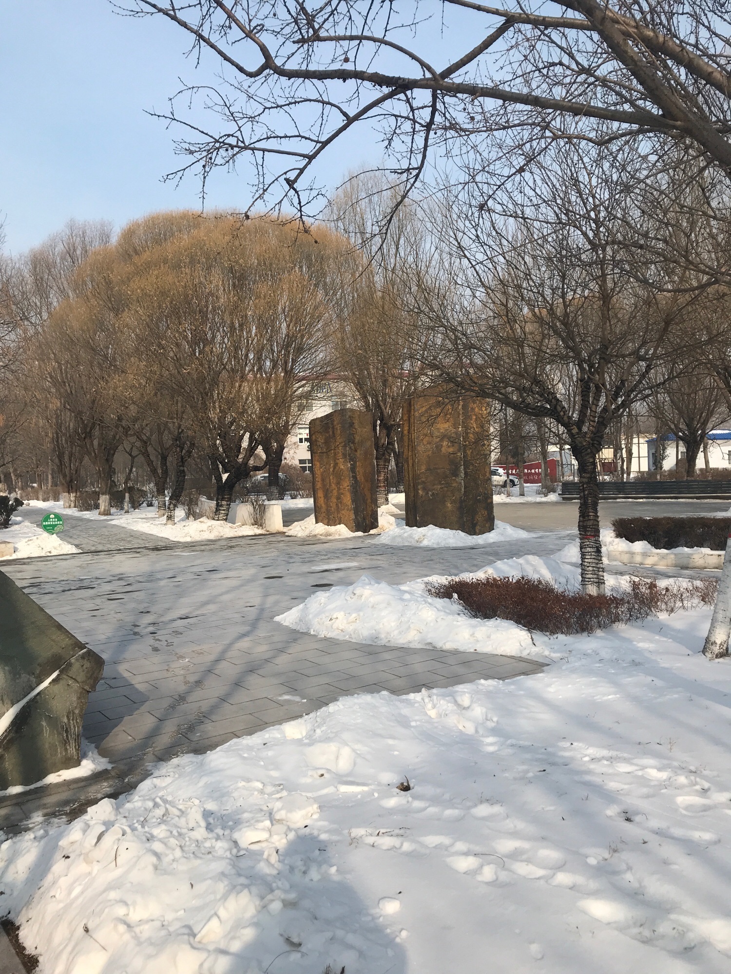慧园旅行图片 3