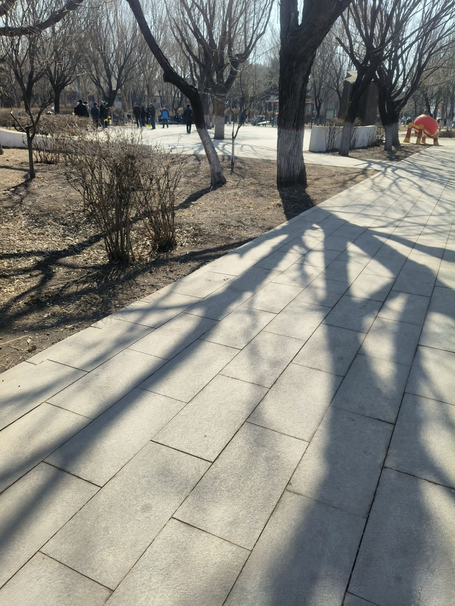 慧园旅行图片 3