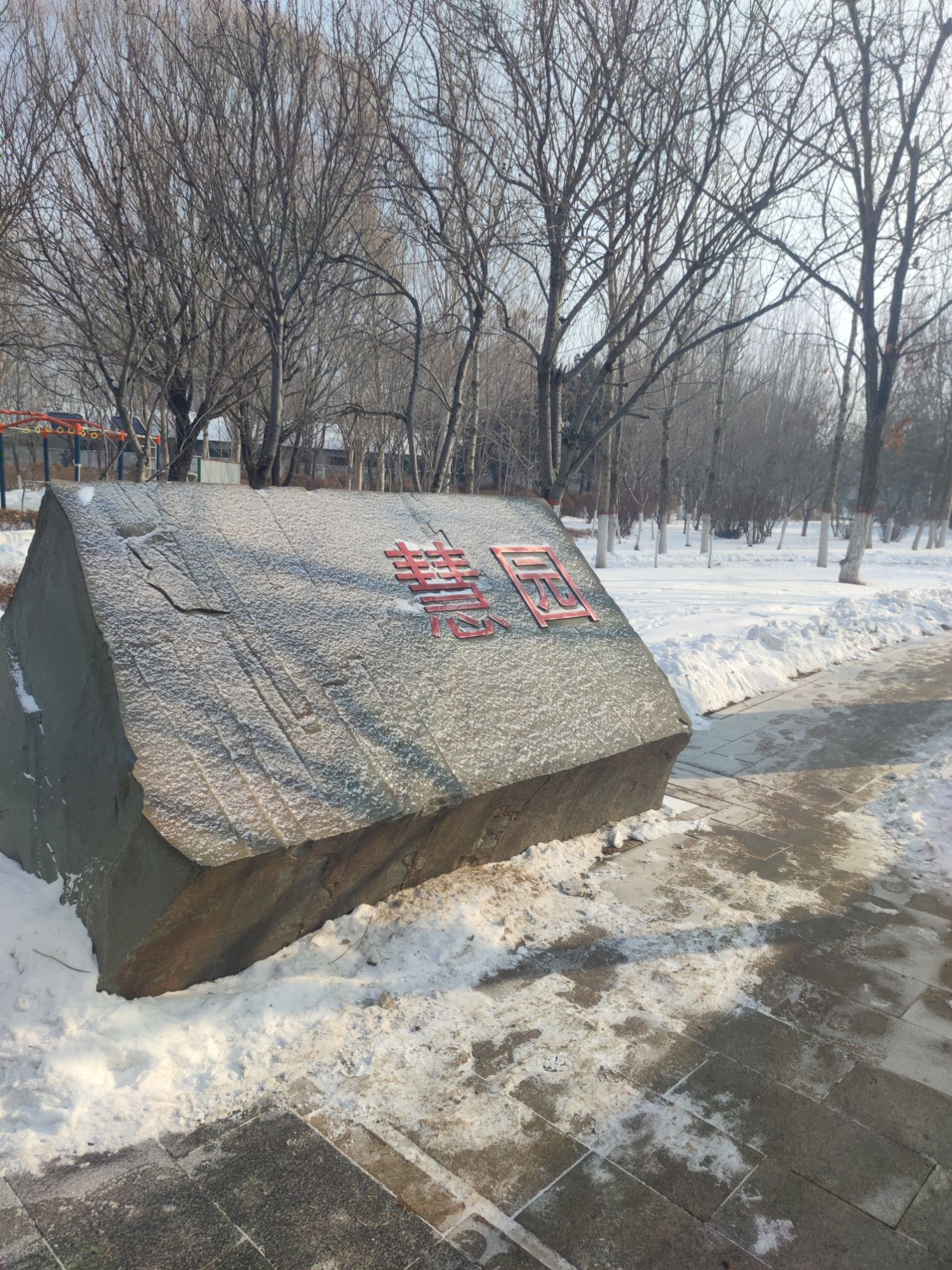慧园旅行图片 3
