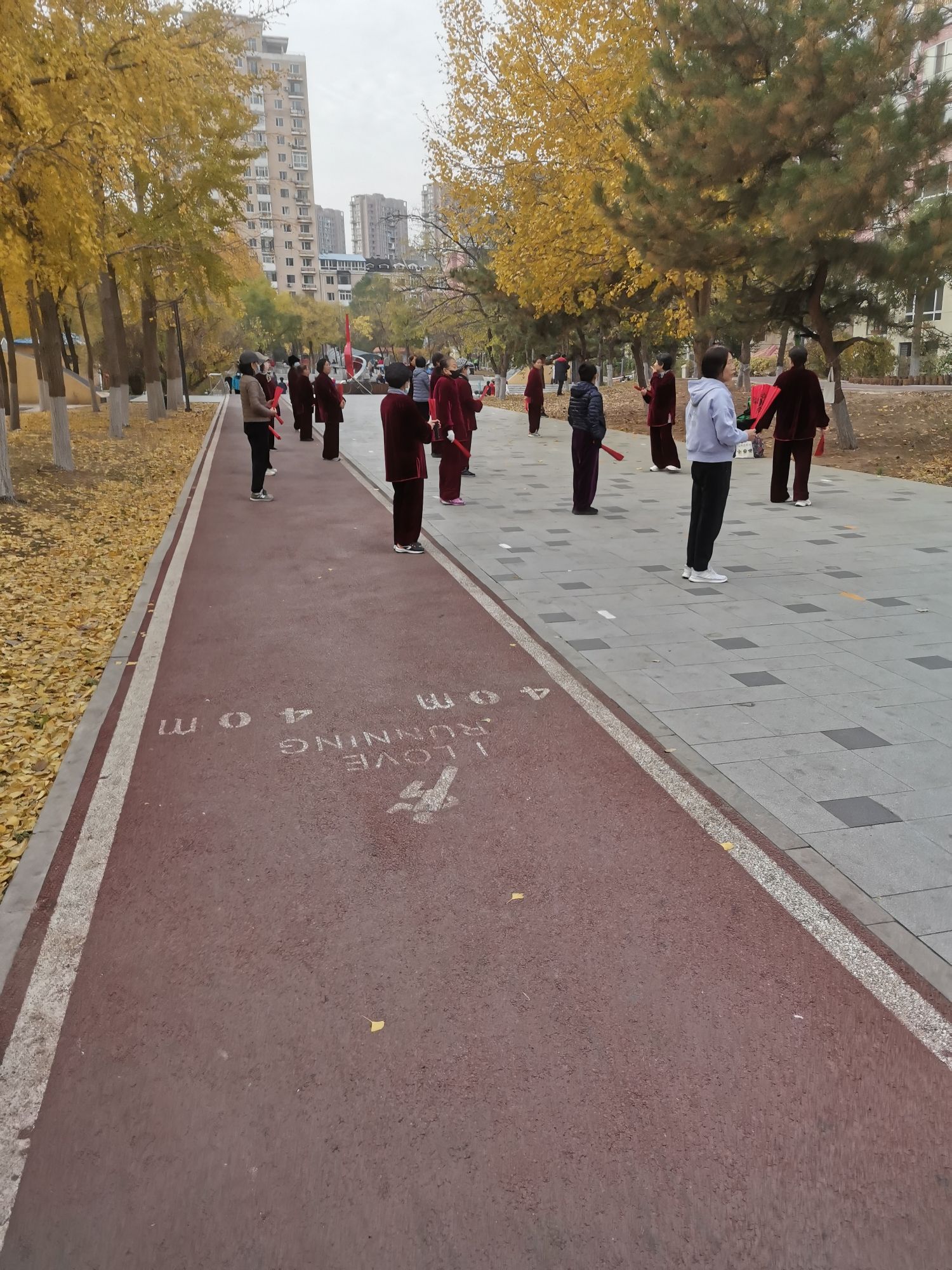 双拥林(沈阳)旅行图片 3