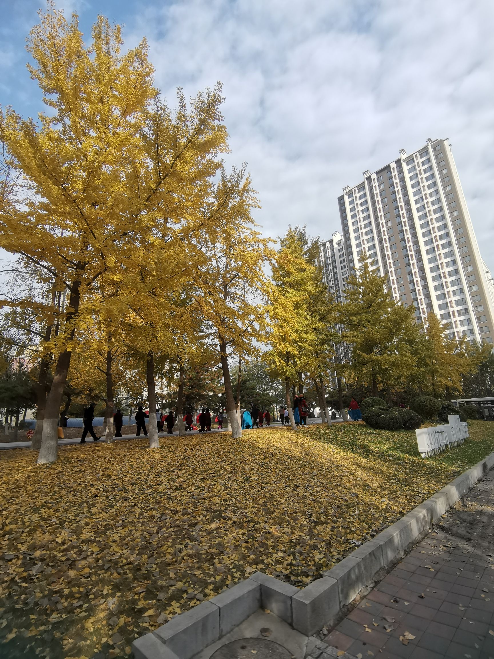 双拥林(沈阳)旅行图片 1
