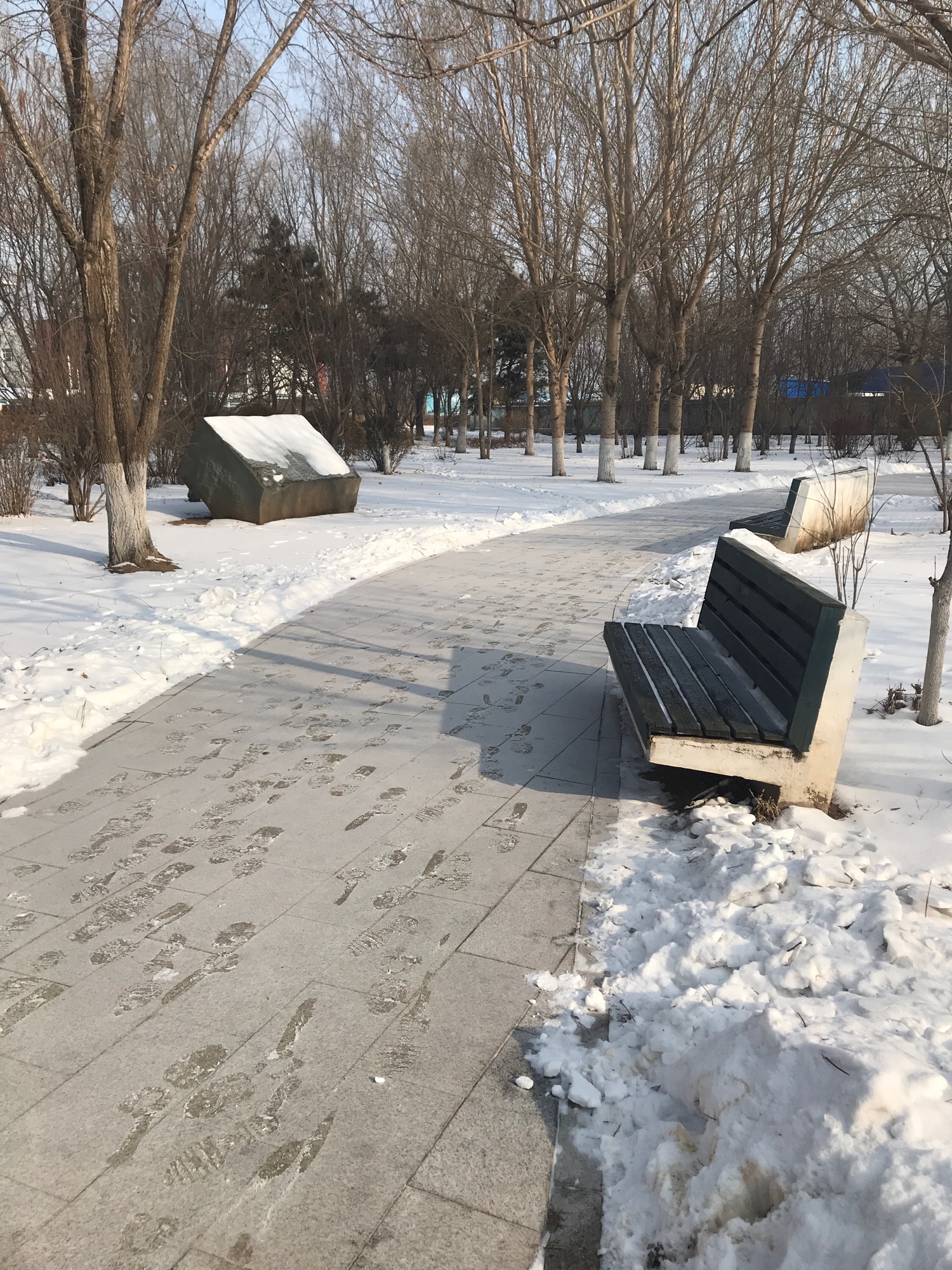 智园旅行图片 2