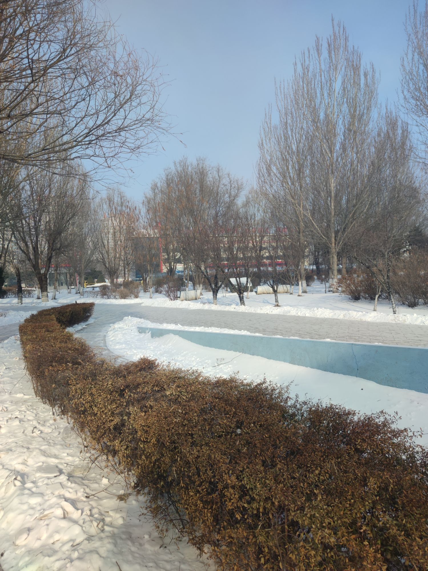智园旅行图片 2