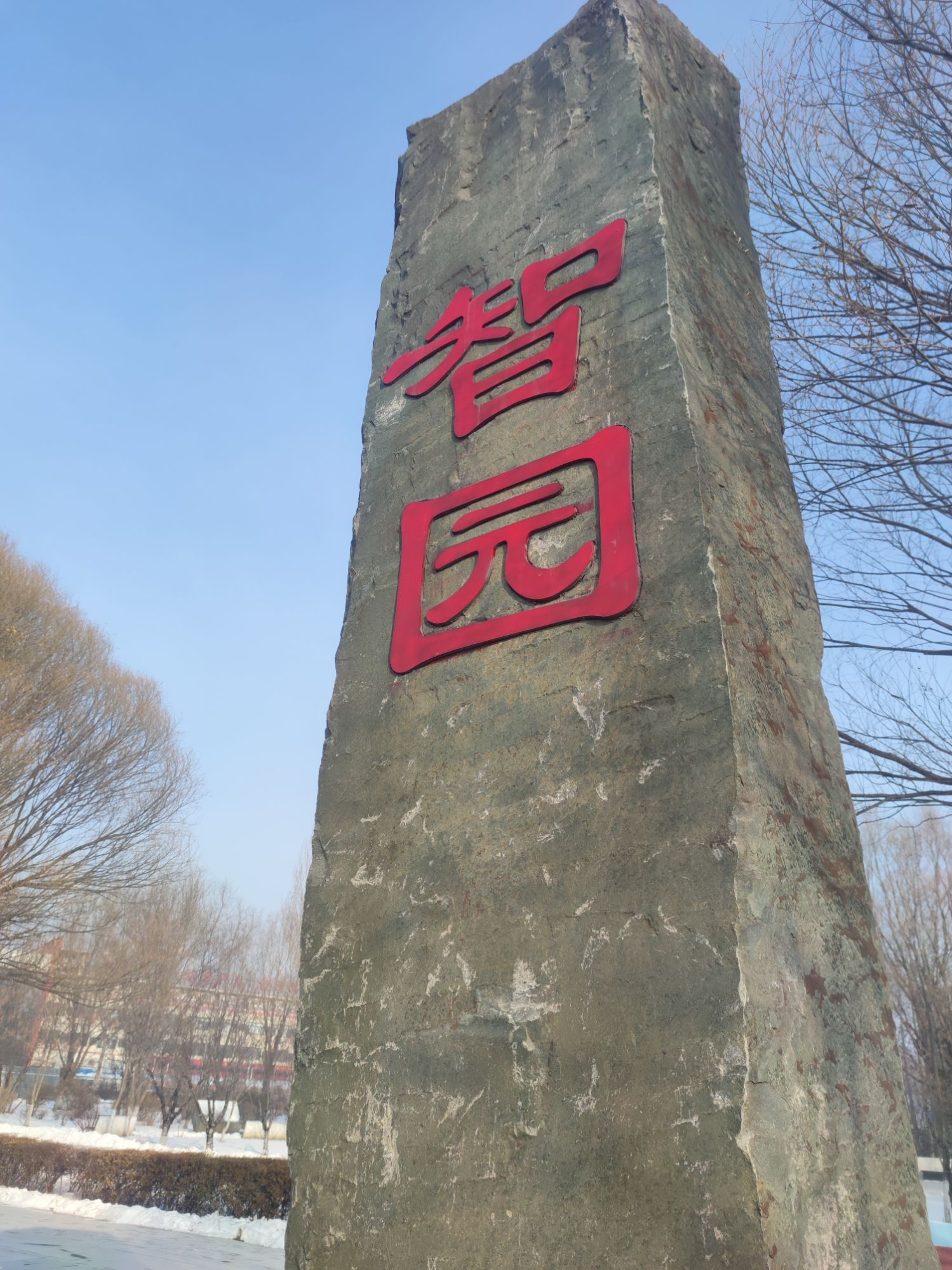 智园旅行图片 1