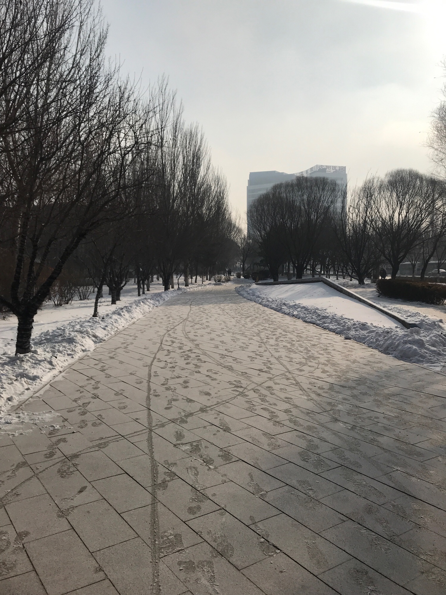 智园旅行图片 1