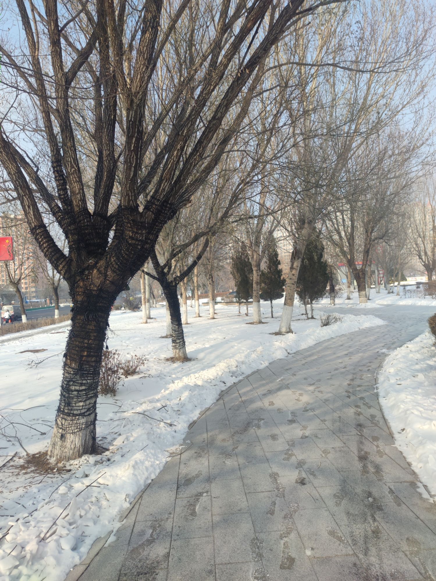 智园旅行图片 3