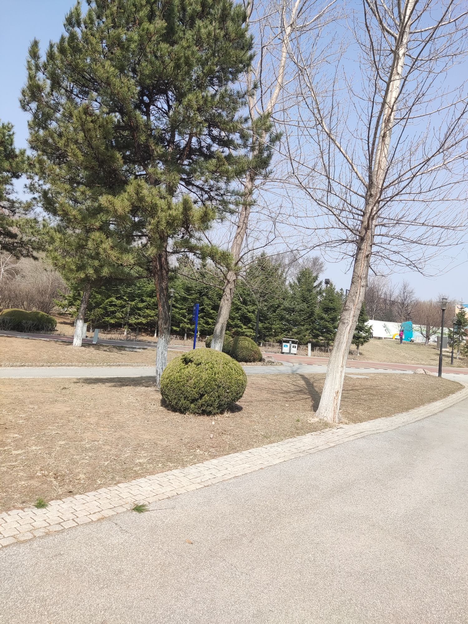 莫子山公园旅行图片 3