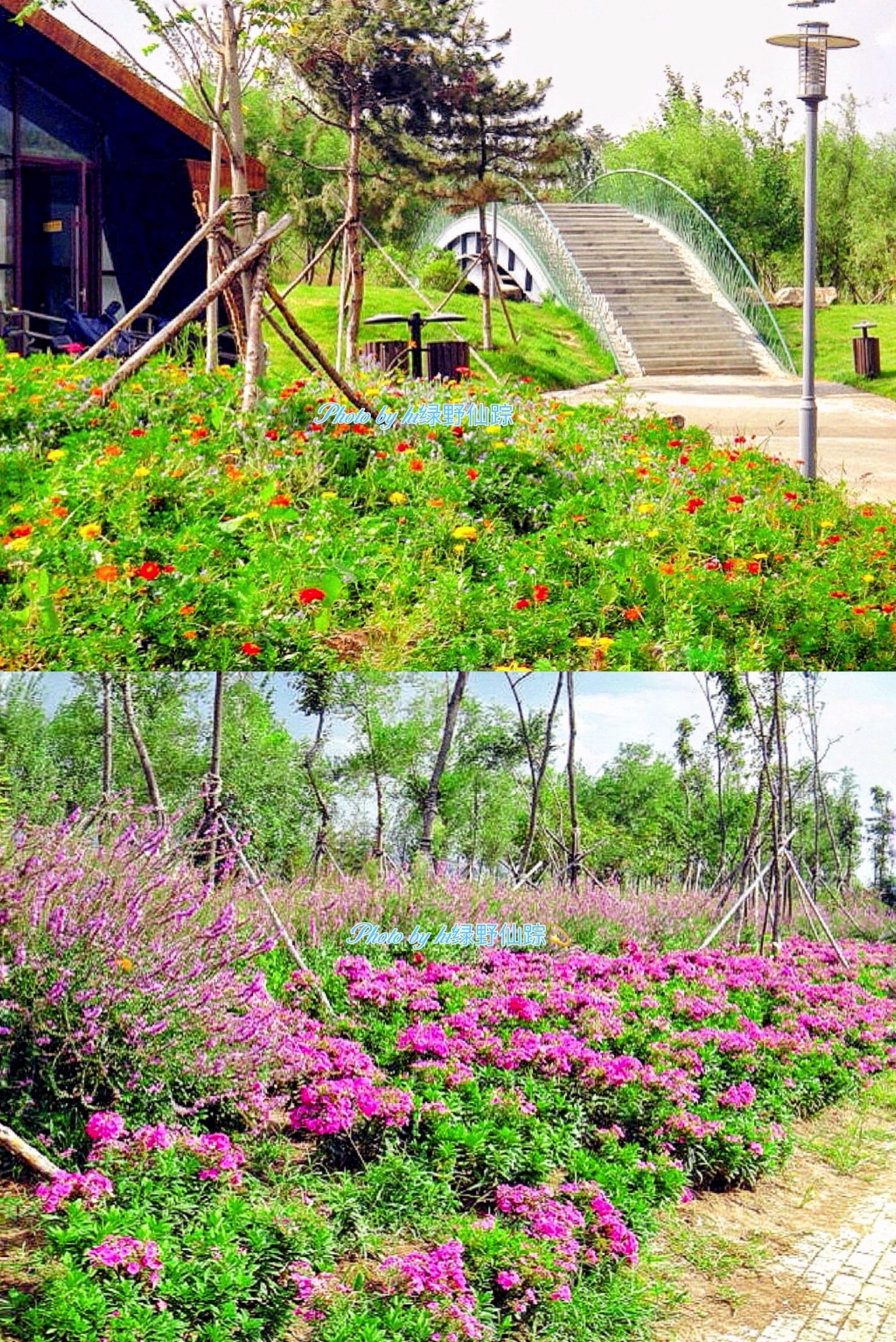 莫子山公园旅行图片 1