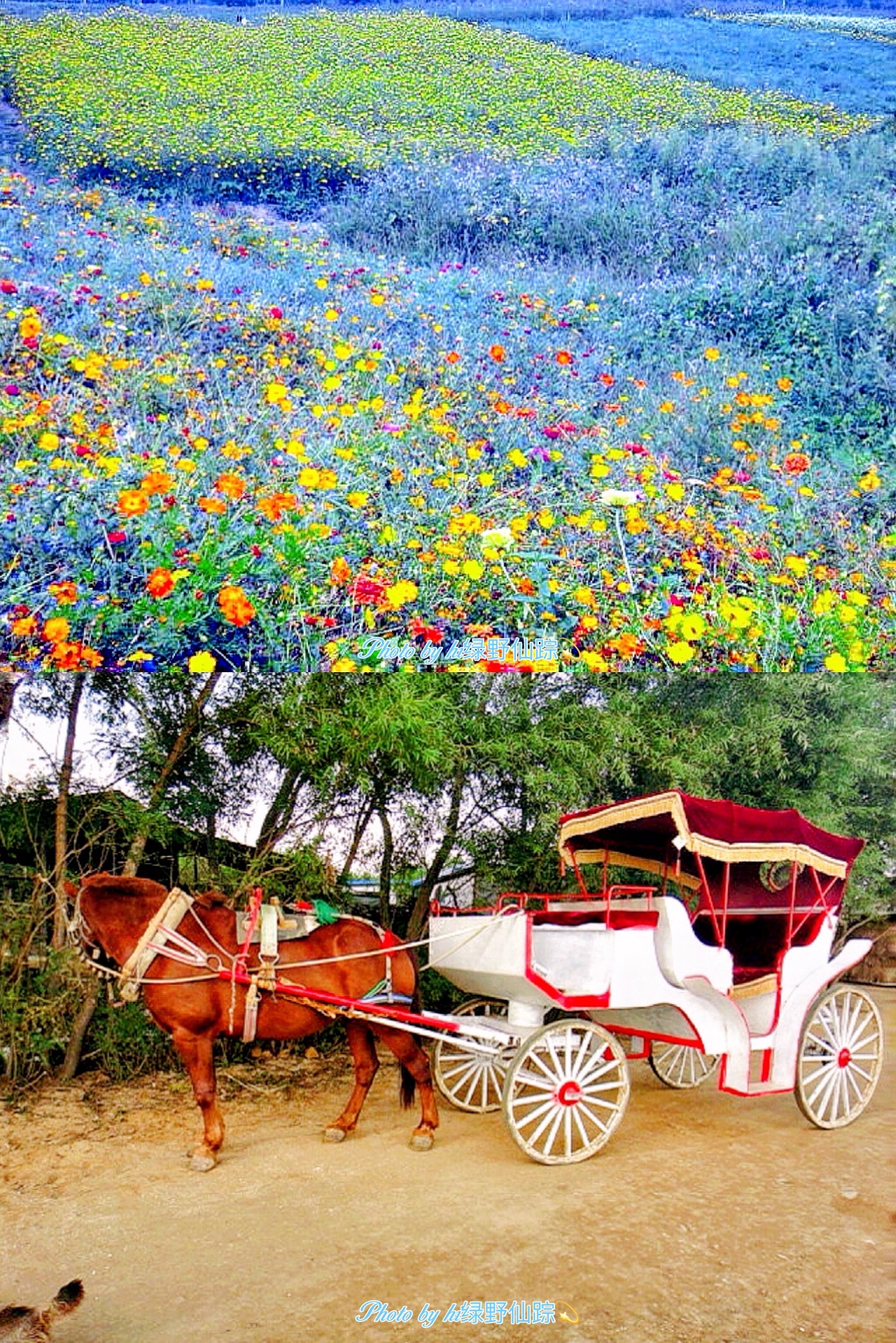 莫子山公园旅行图片 3