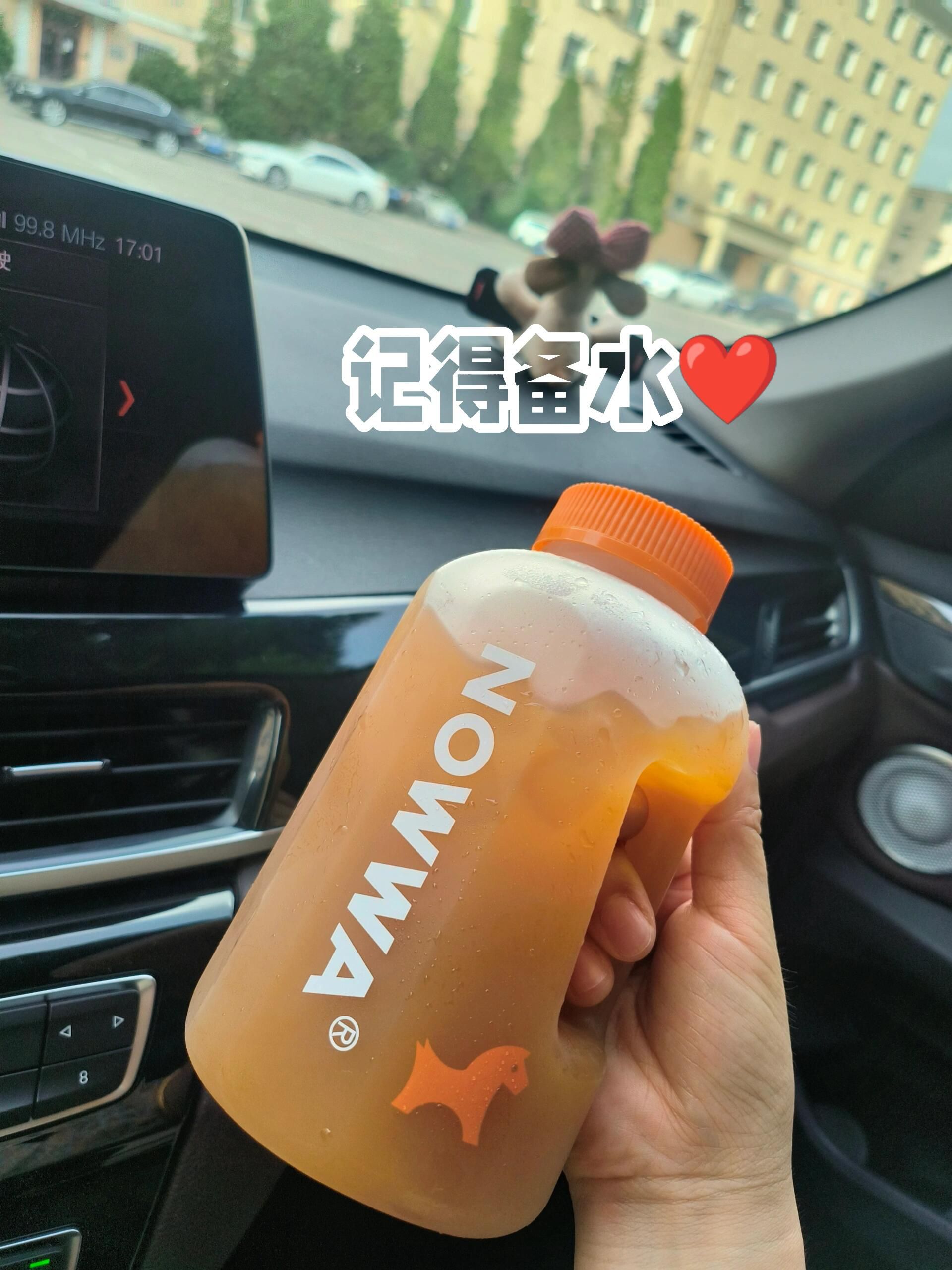 莫子山公园旅行图片 2