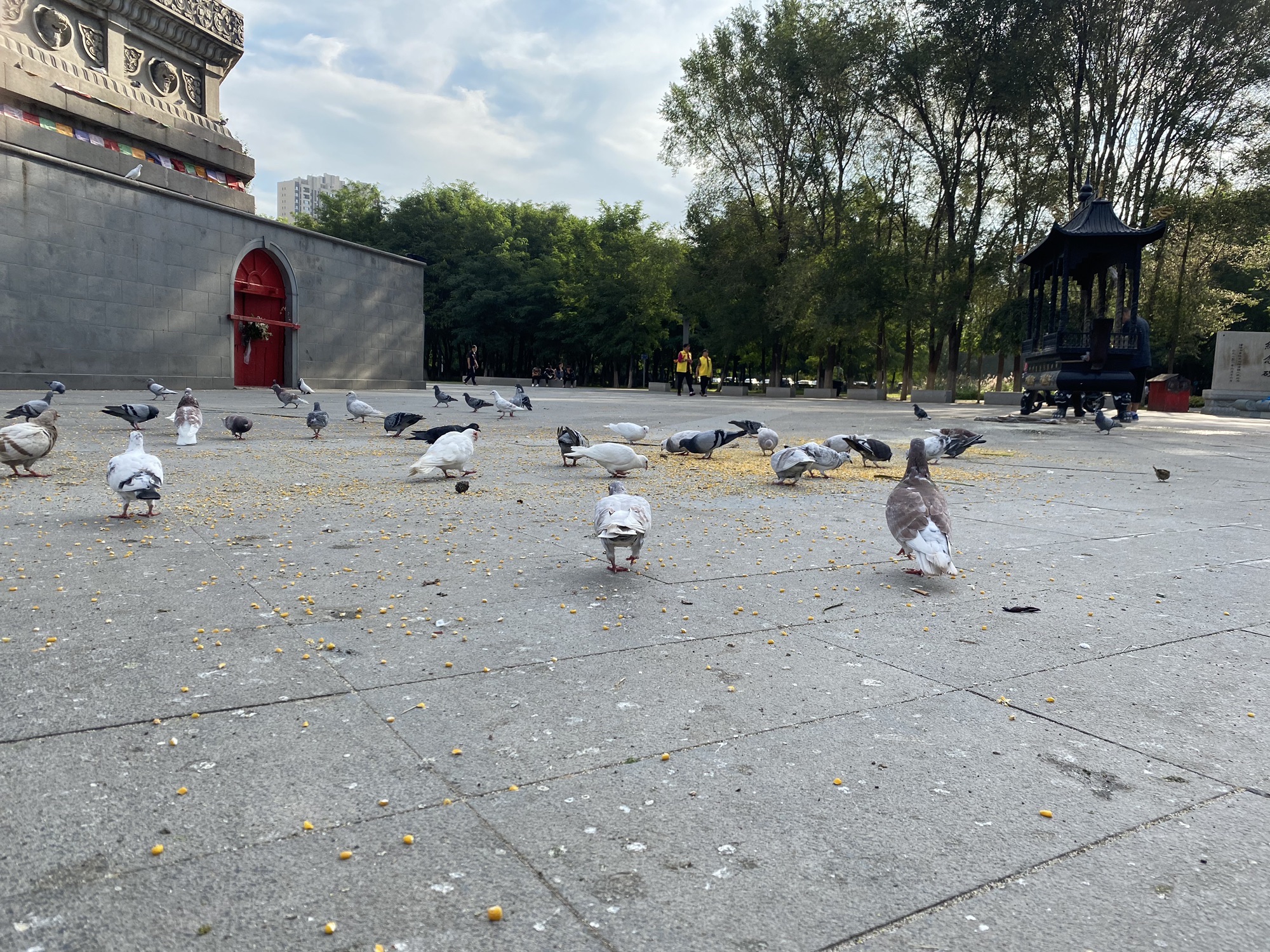 白塔公园旅行图片 2