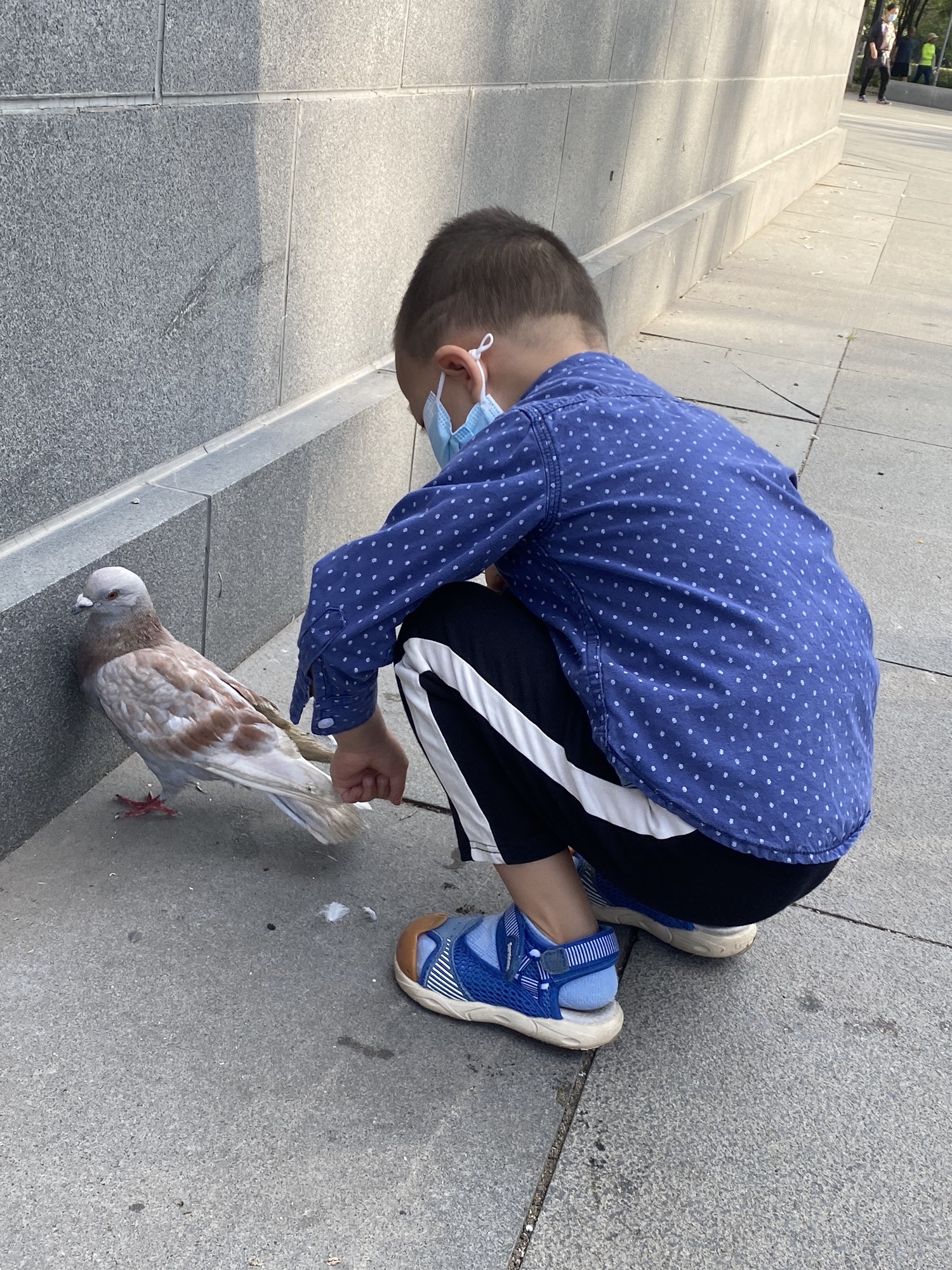 白塔公园旅行图片 3