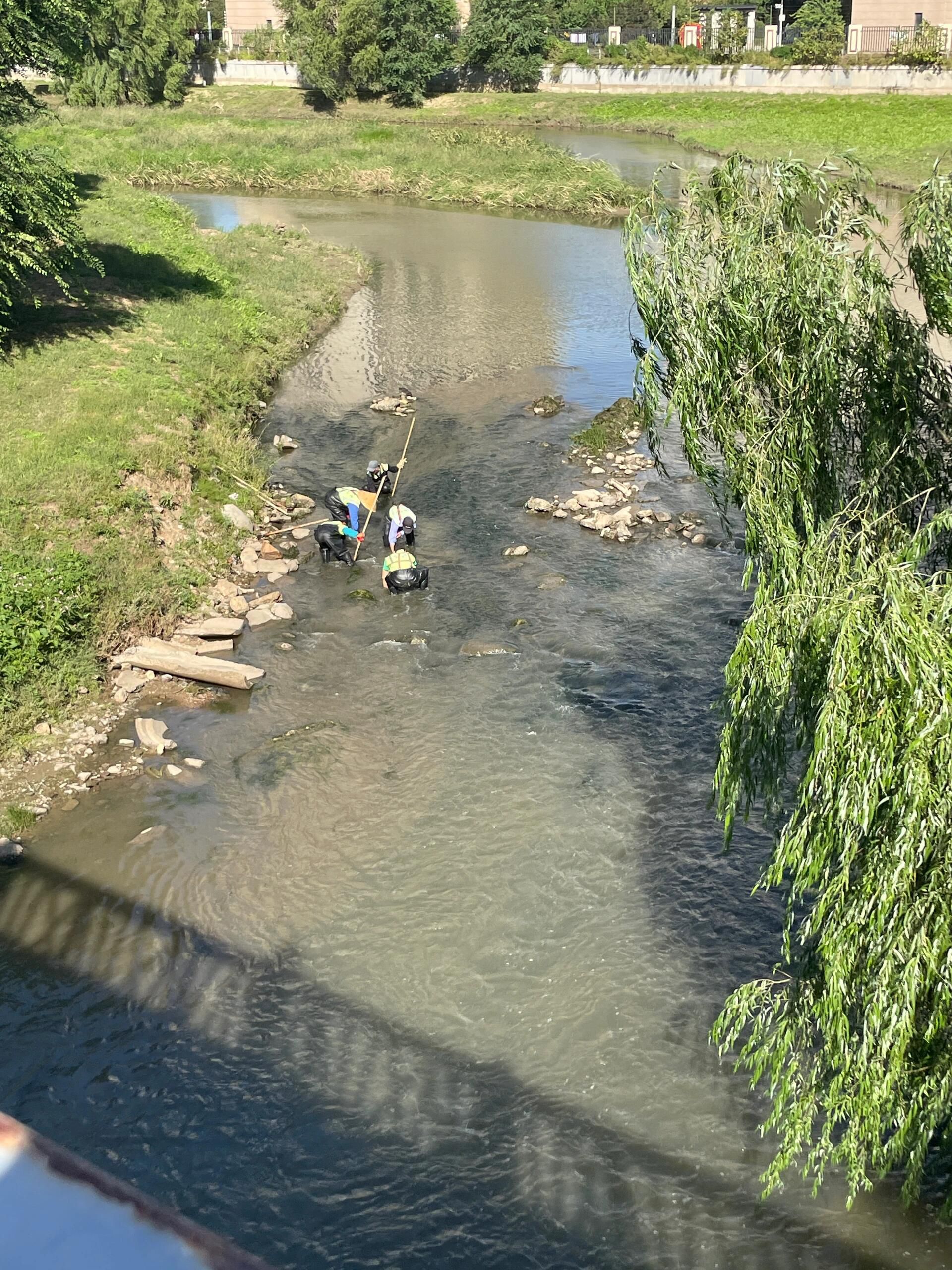 白塔公园旅行图片 3
