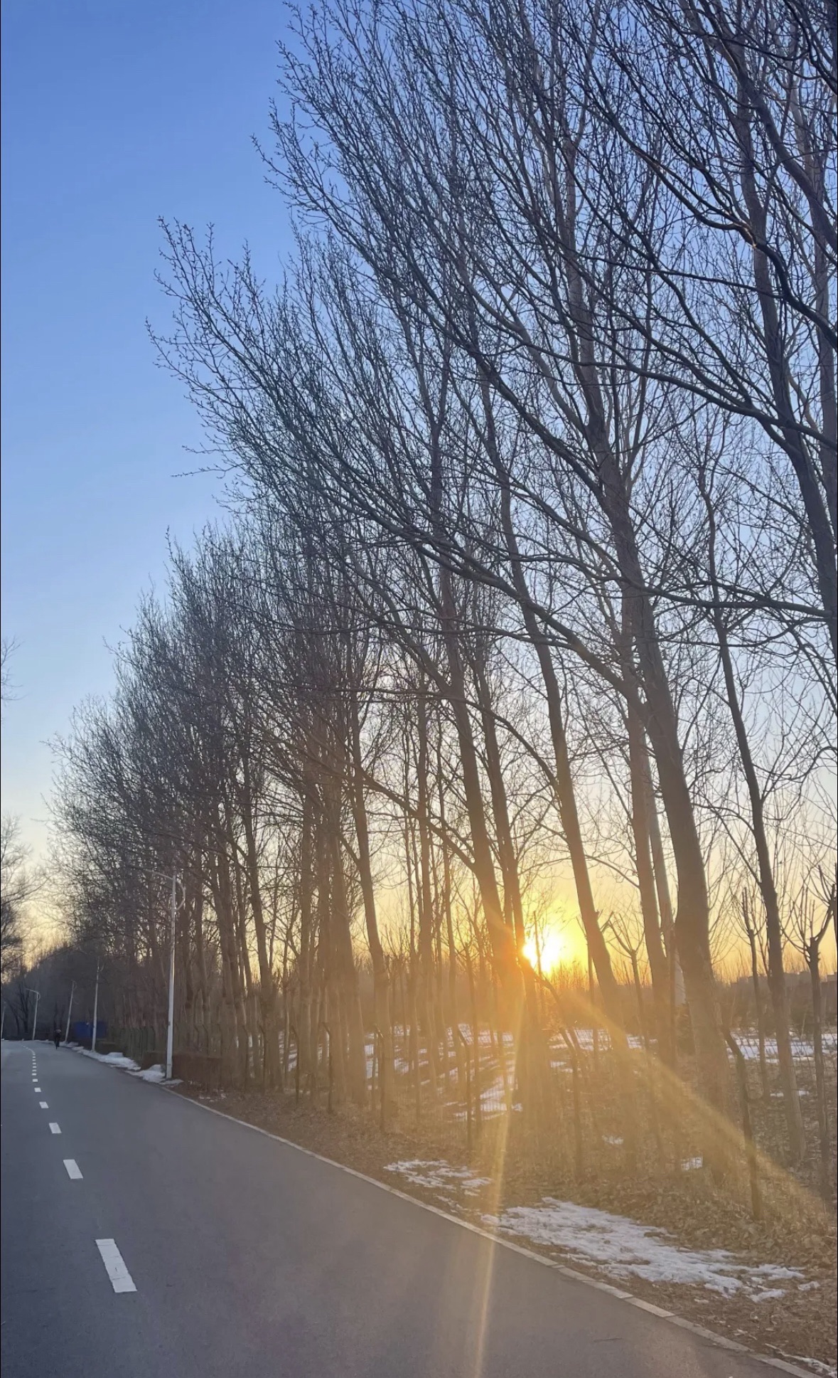 浑河森林公园旅行图片 1