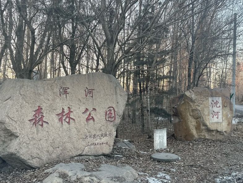 浑河森林公园旅行图片 1