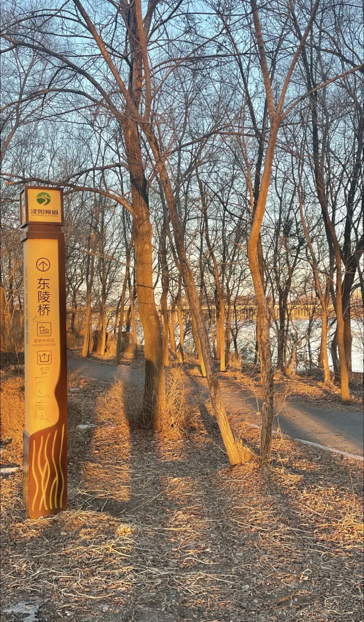 浑河森林公园旅行图片 2