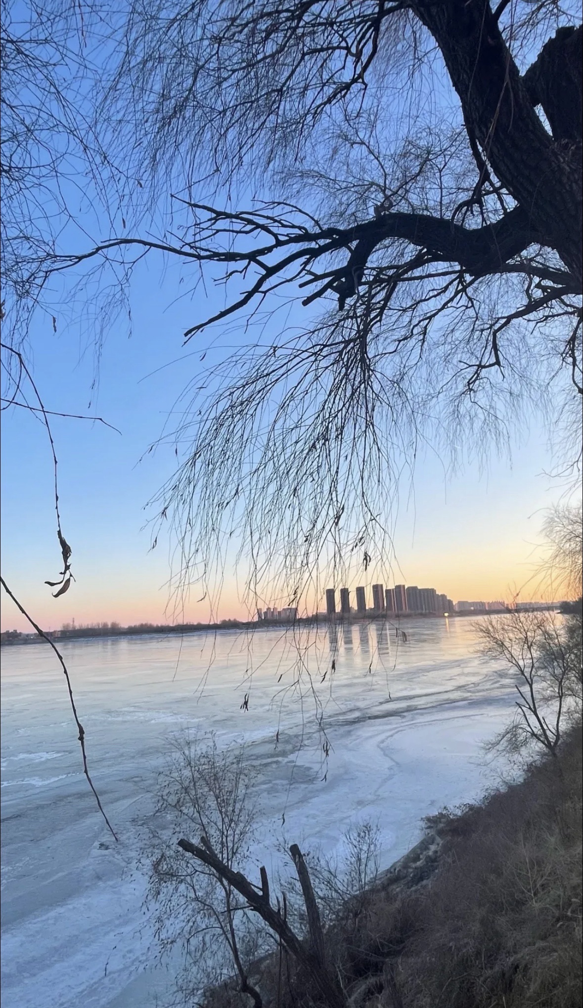 浑河森林公园旅行图片 3