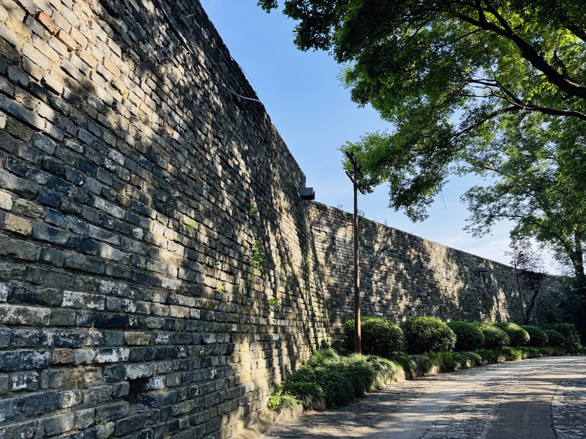 九华山公园旅行图片 3