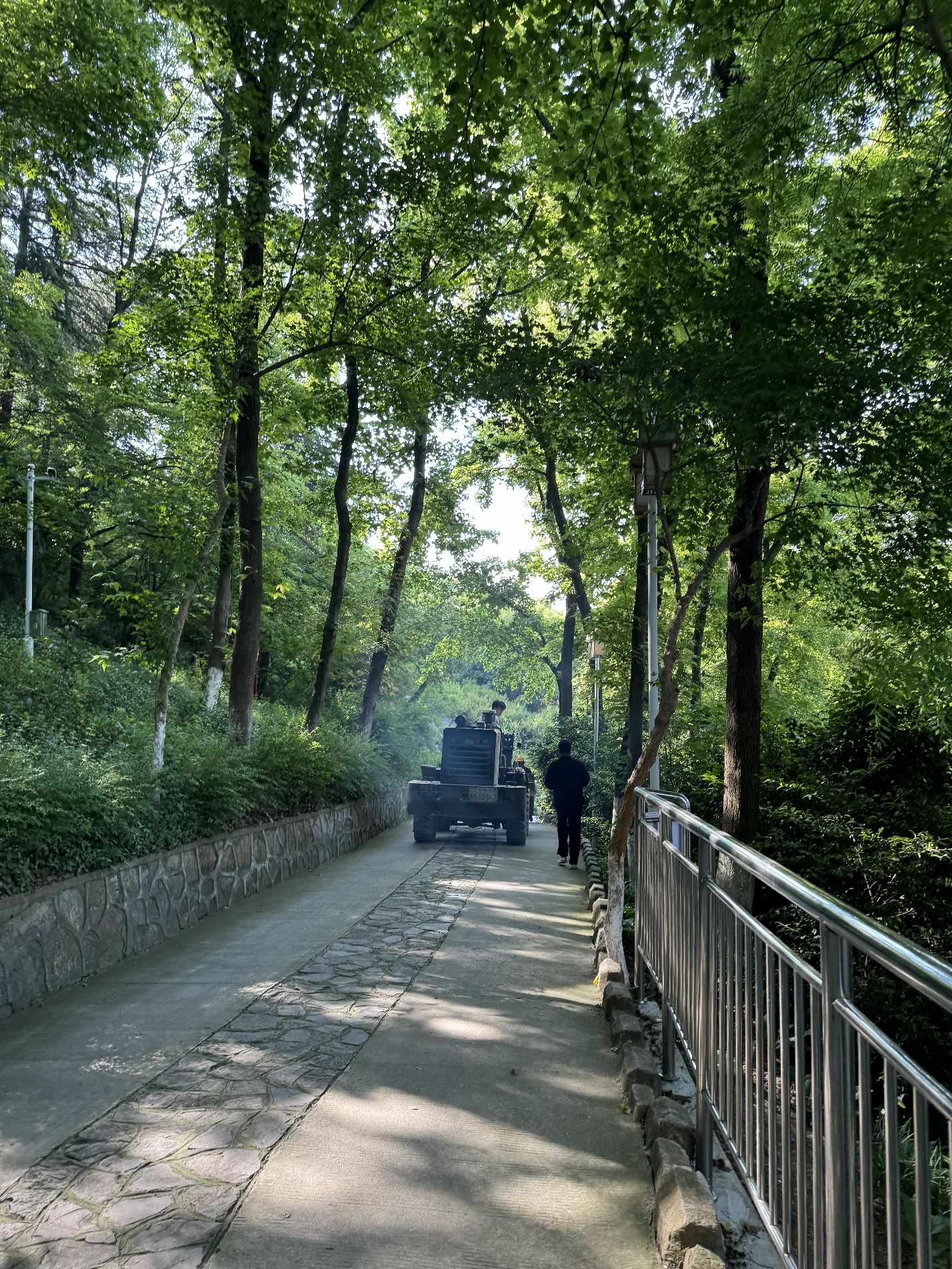 九华山公园旅行图片 3