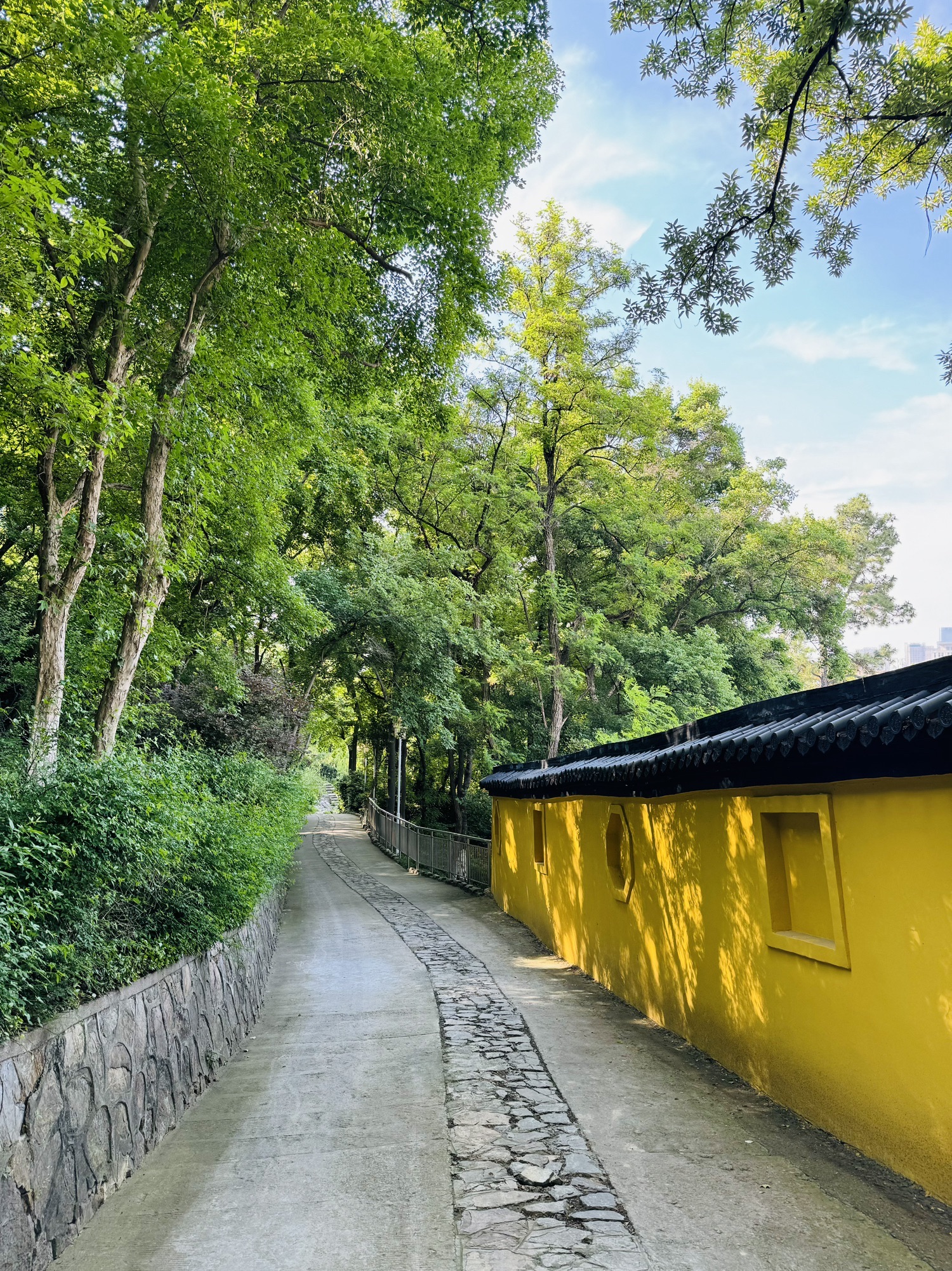 九华山公园旅行图片 3
