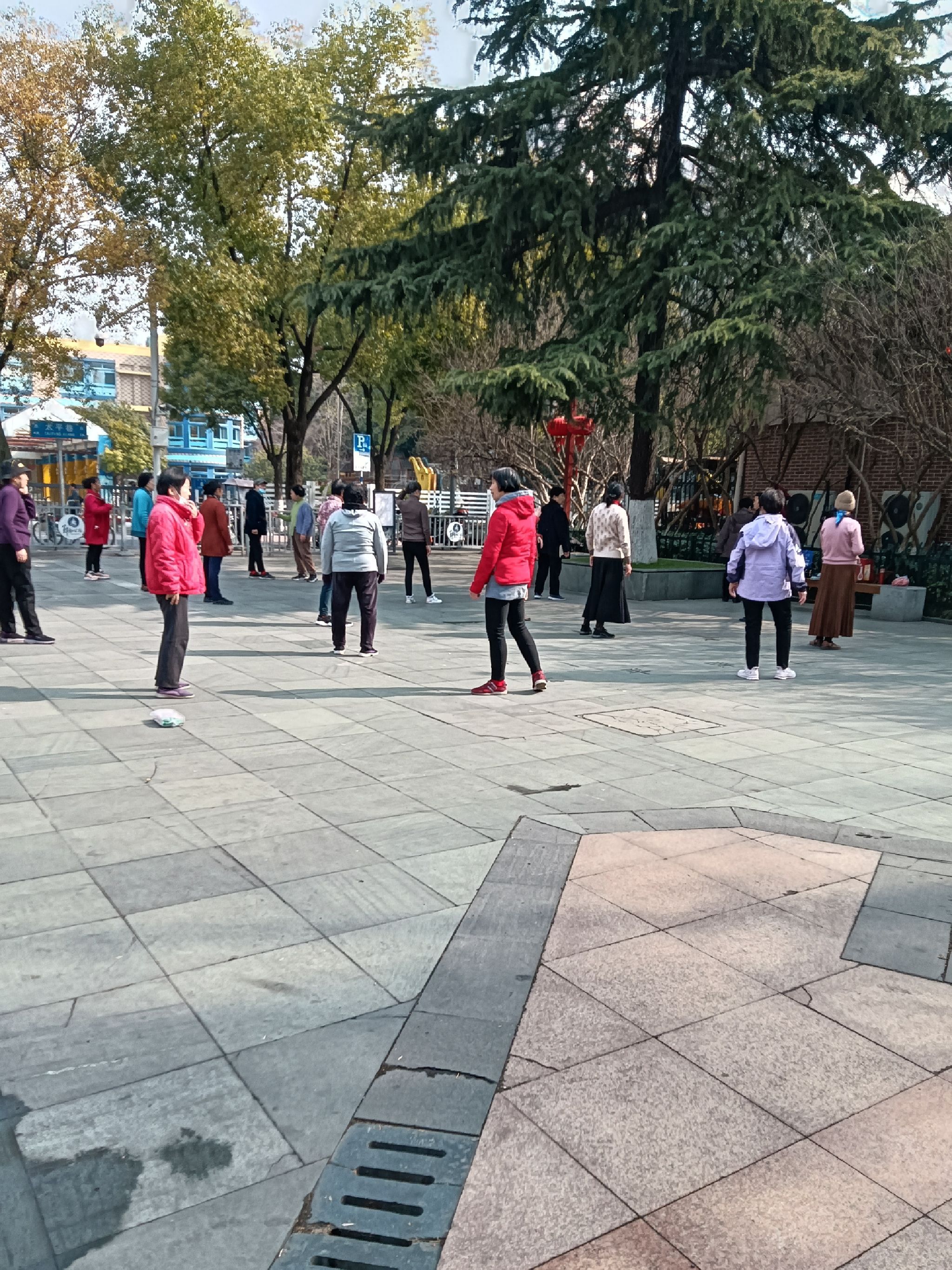 郑和公园旅行图片 3