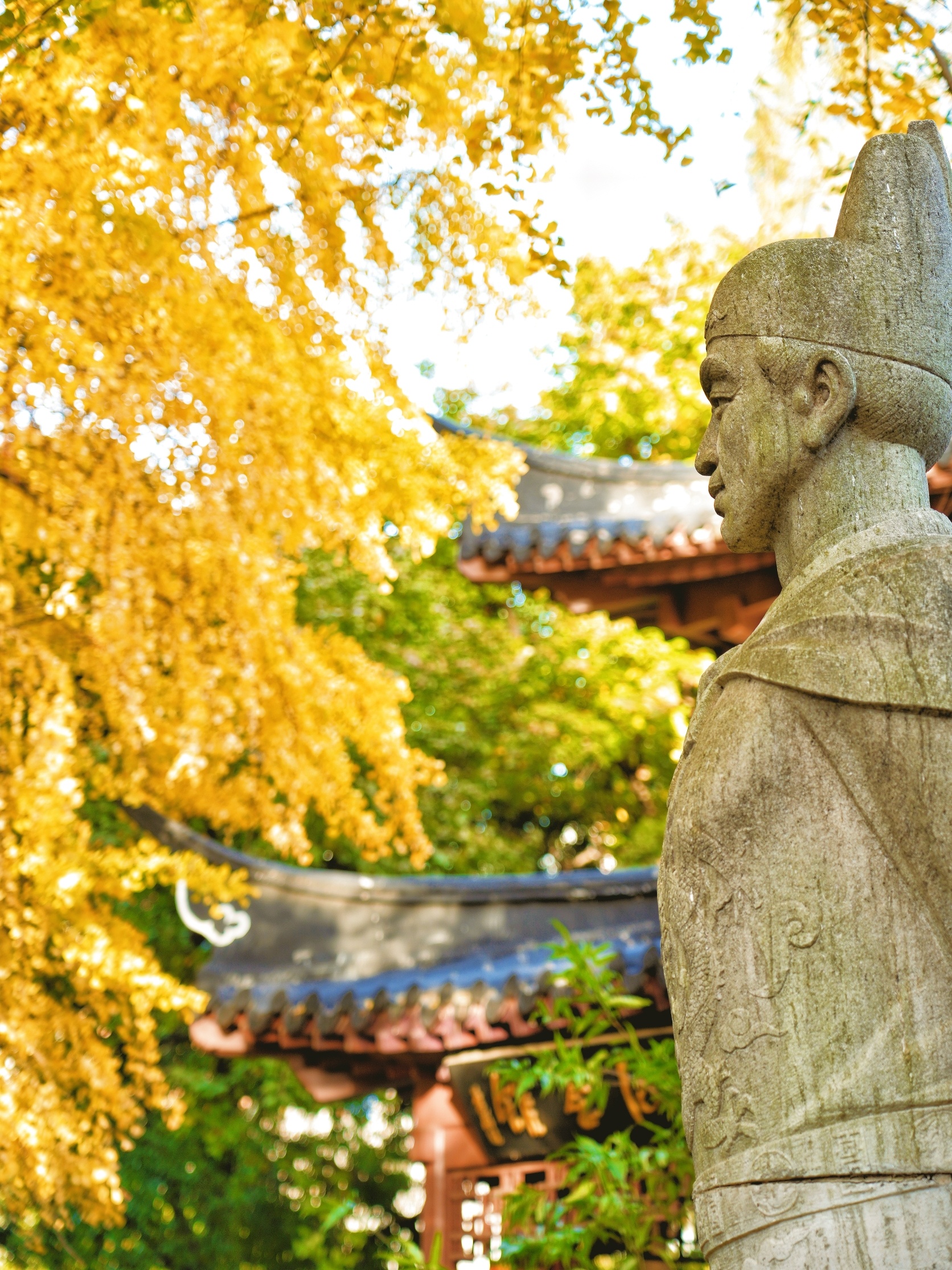 郑和公园旅行图片 1
