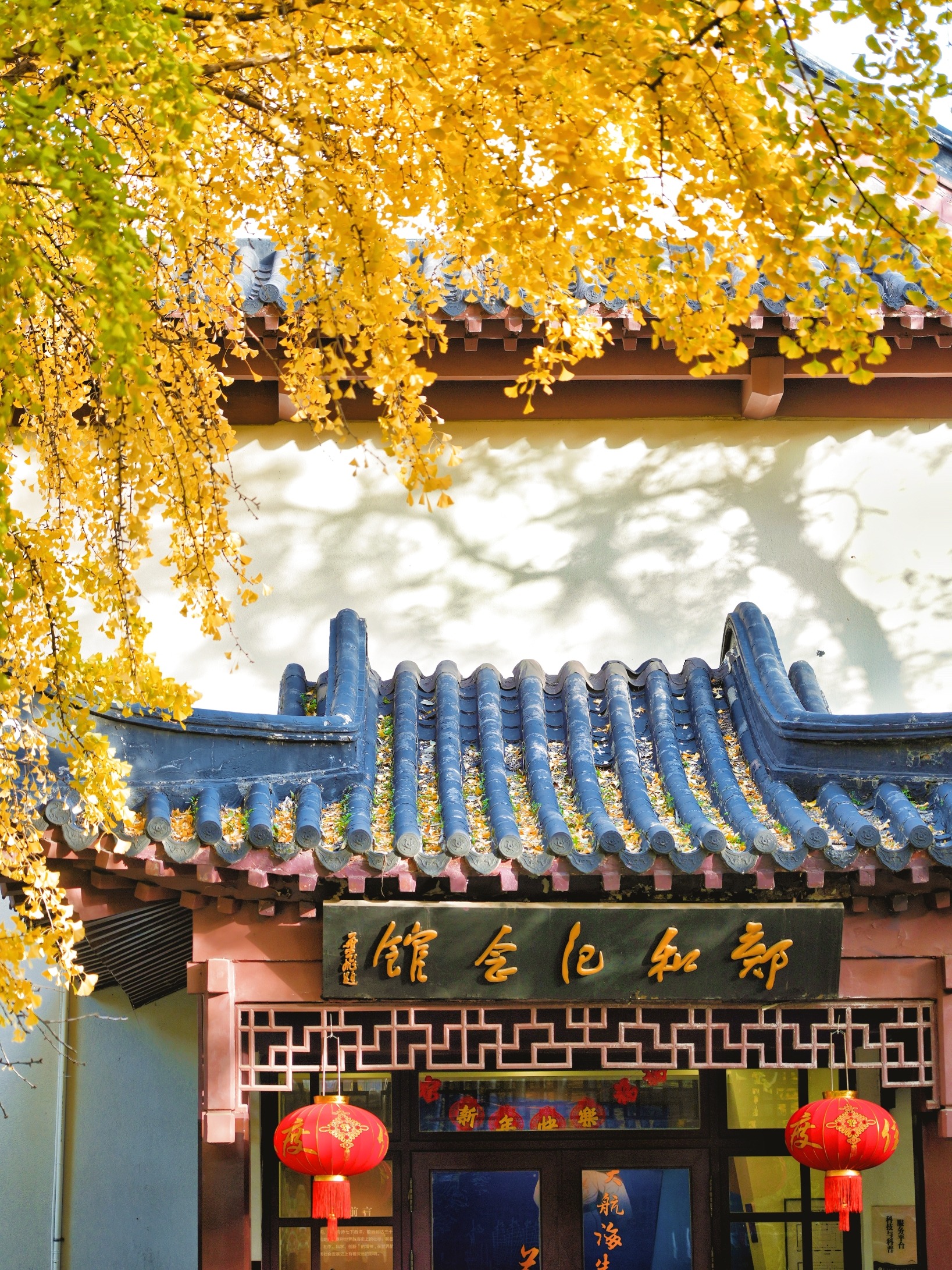 郑和公园旅行图片 2