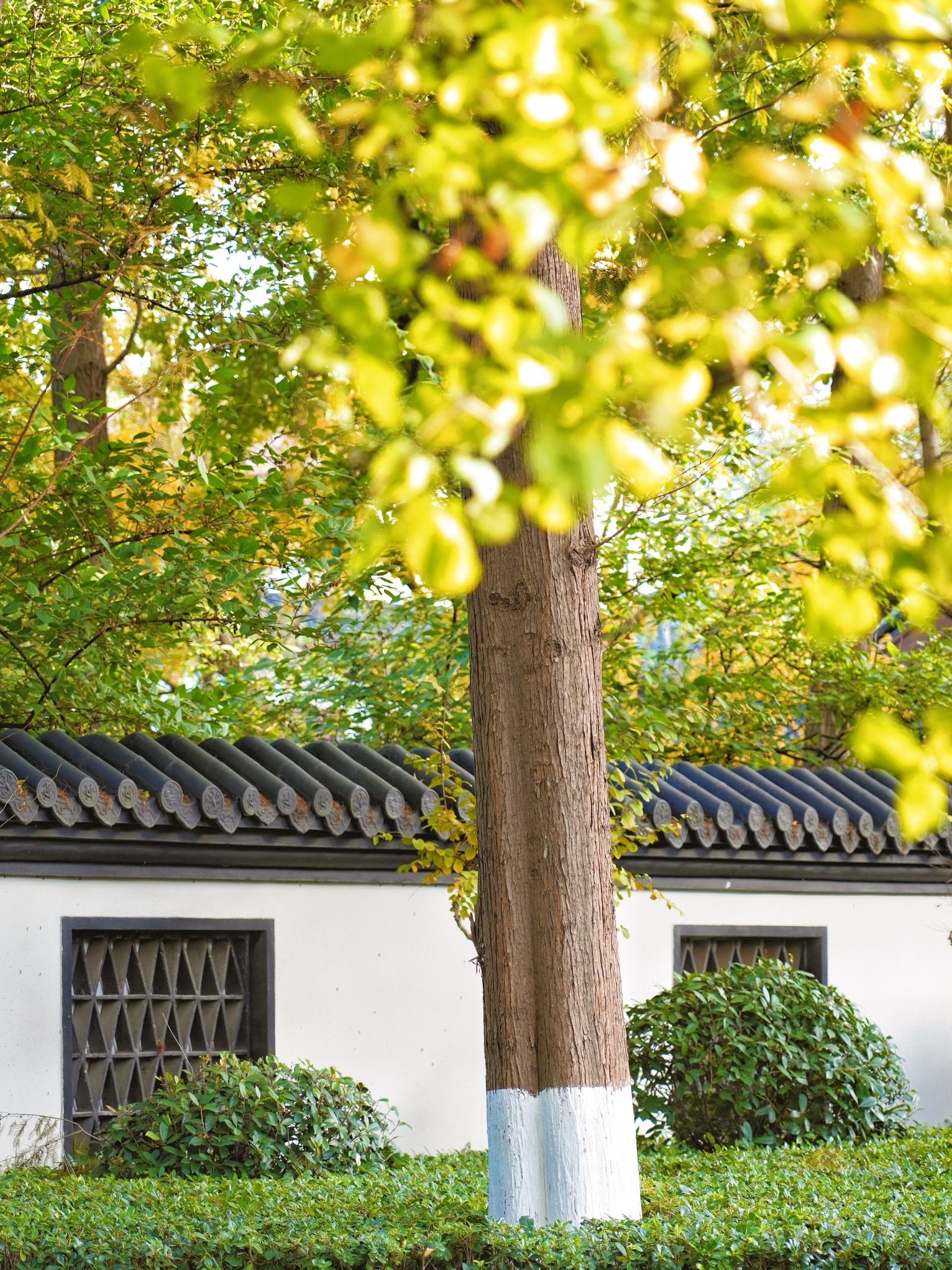 郑和公园旅行图片 3