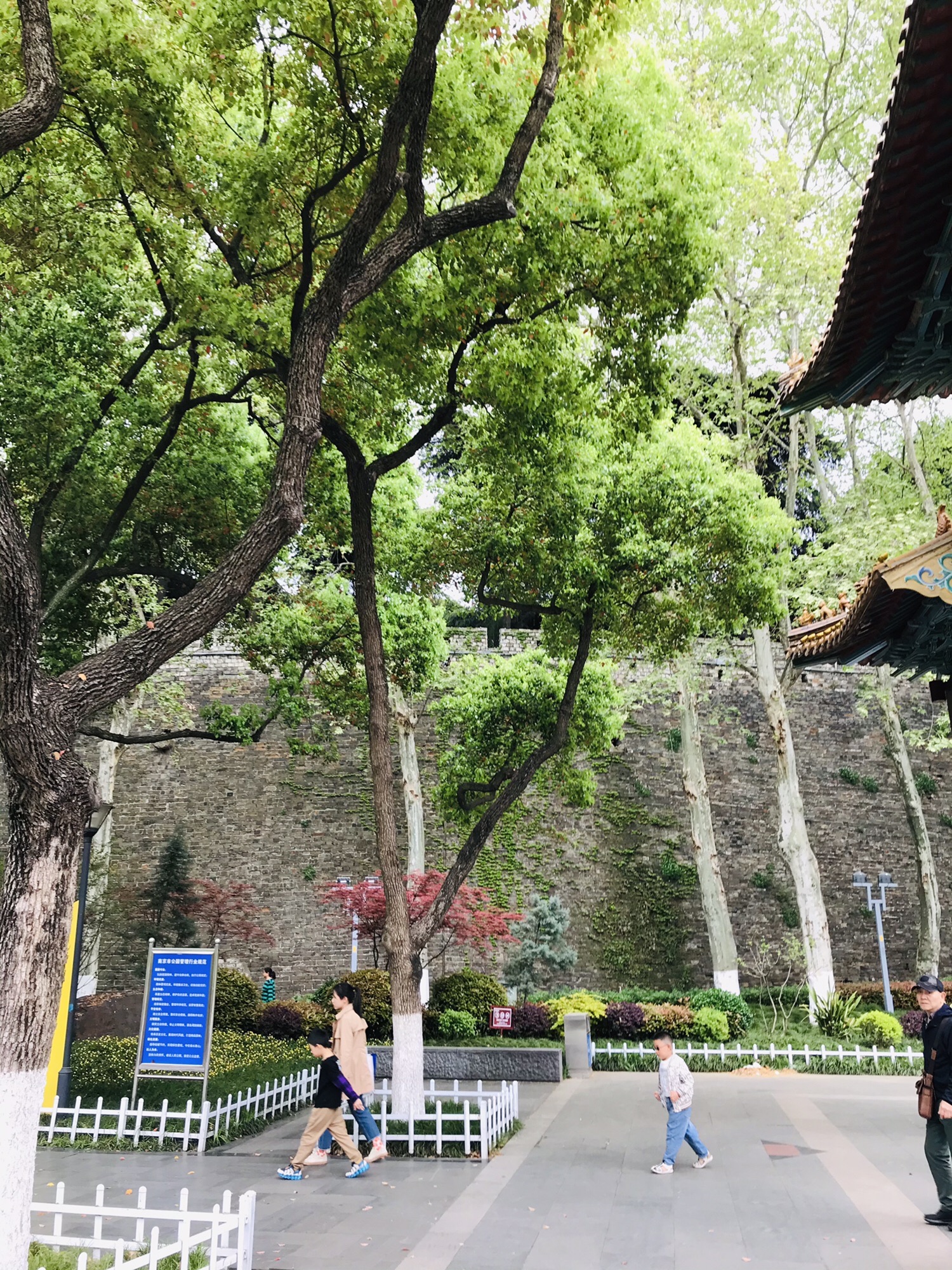 绣球公园旅行图片 3