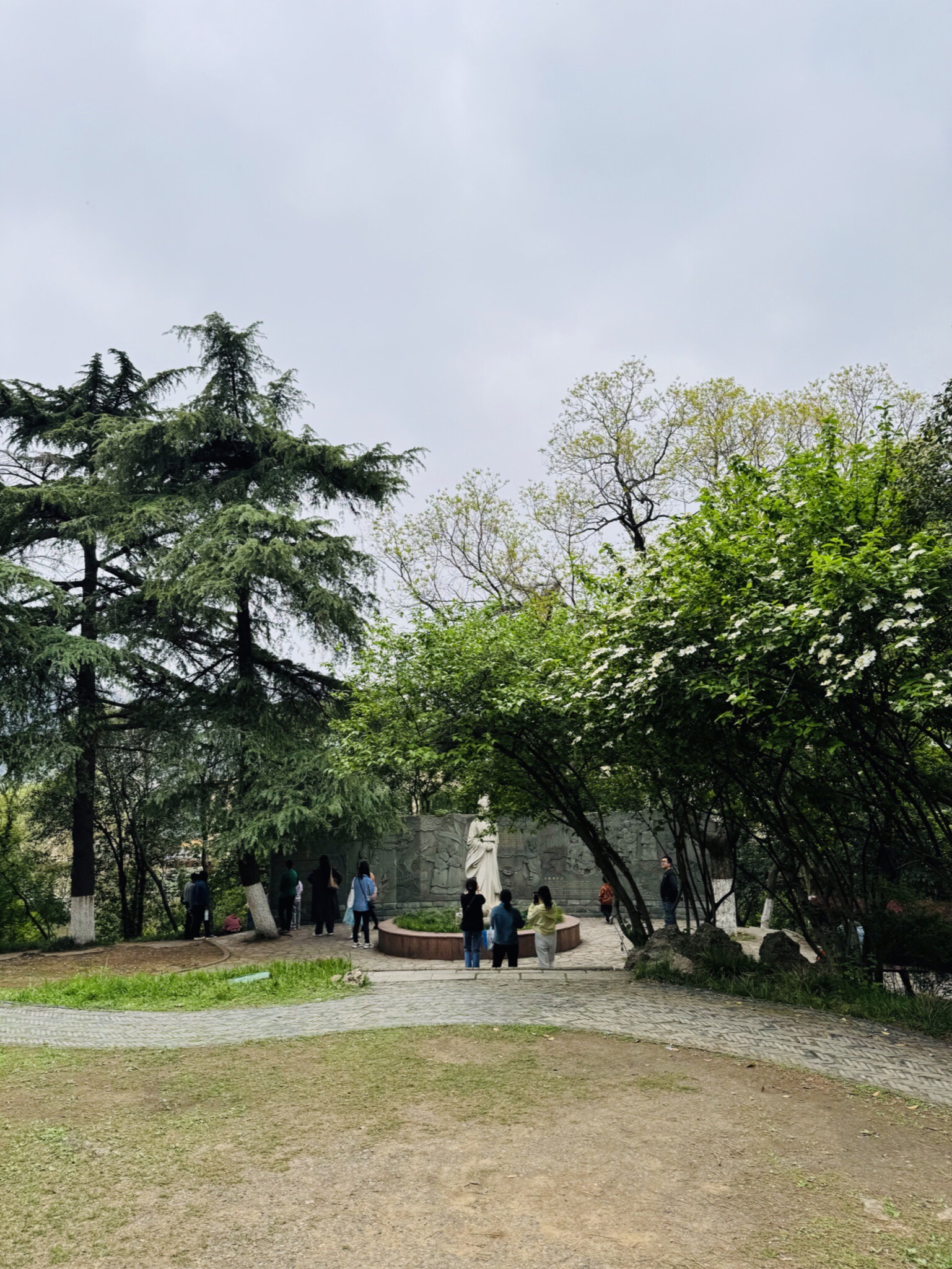 绣球公园旅行图片 2