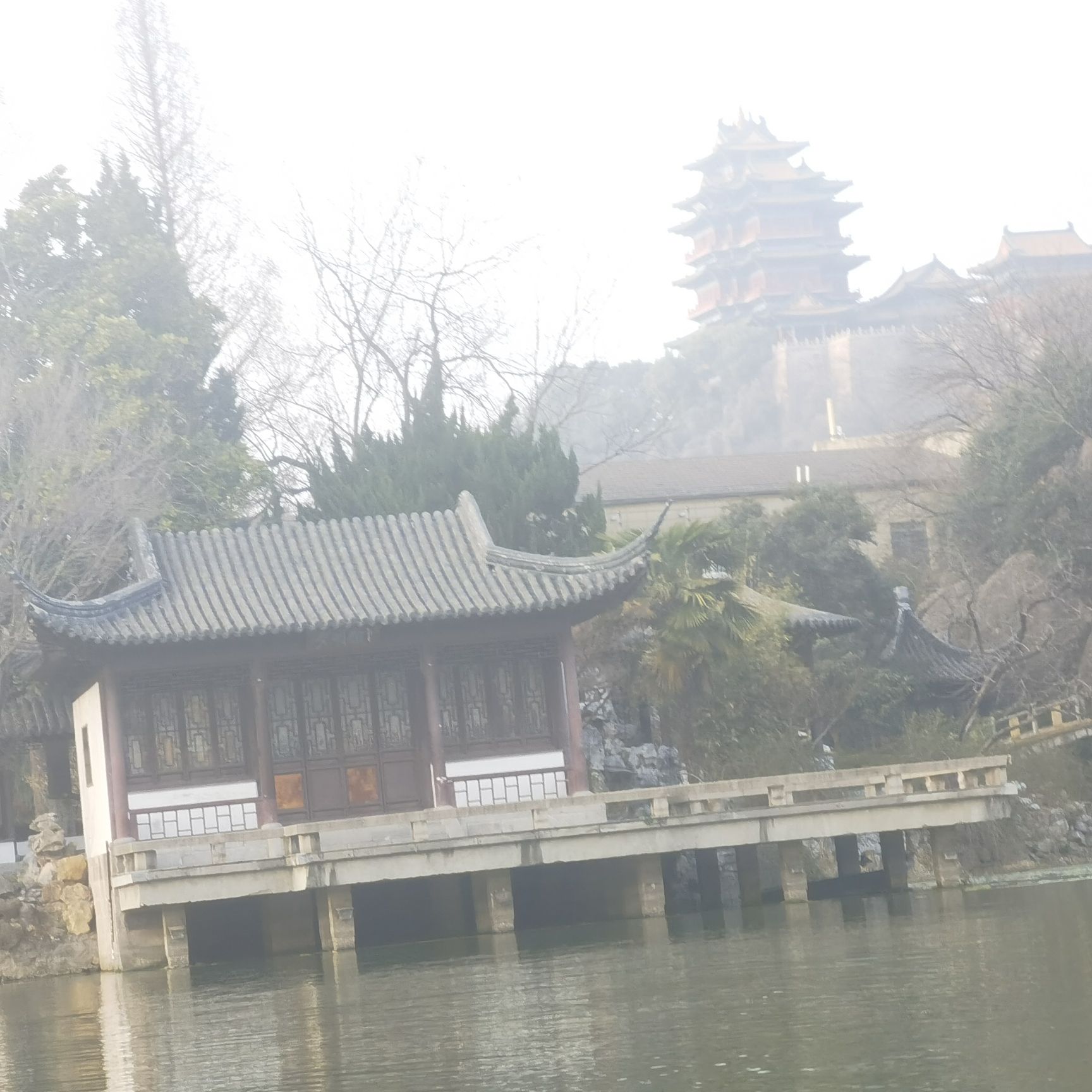 绣球公园旅行图片 2