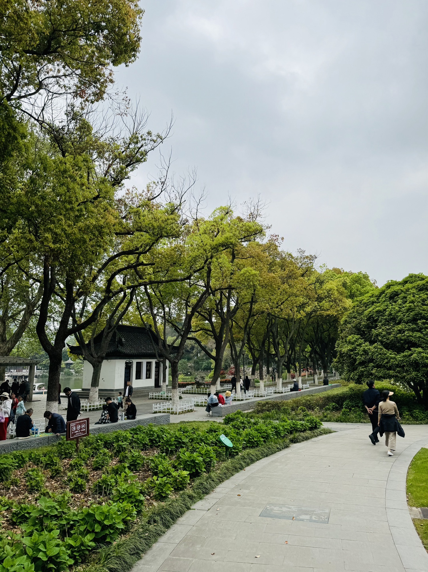 绣球公园旅行图片 3