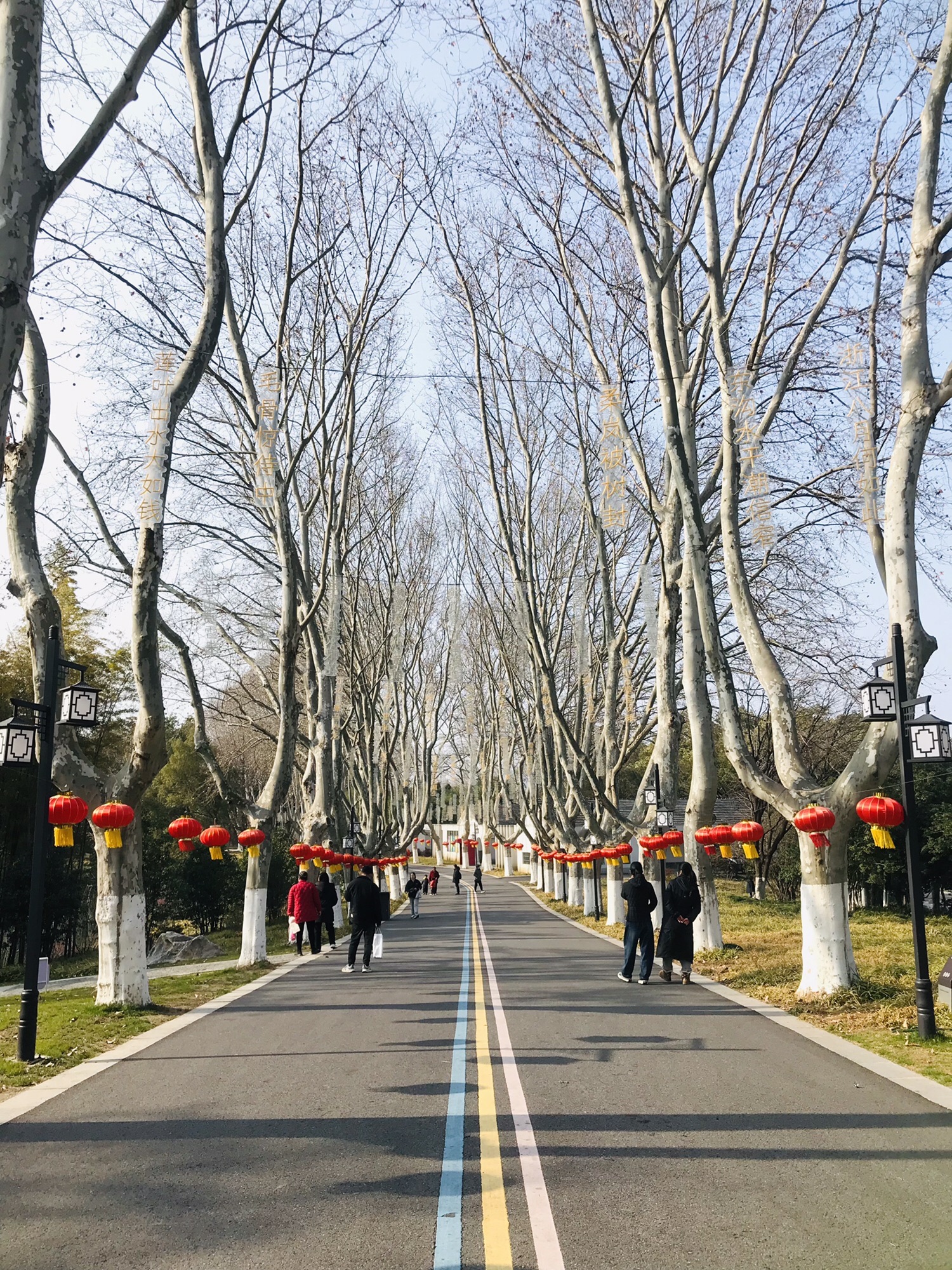 南京浦口凤凰山公园旅行图片 2